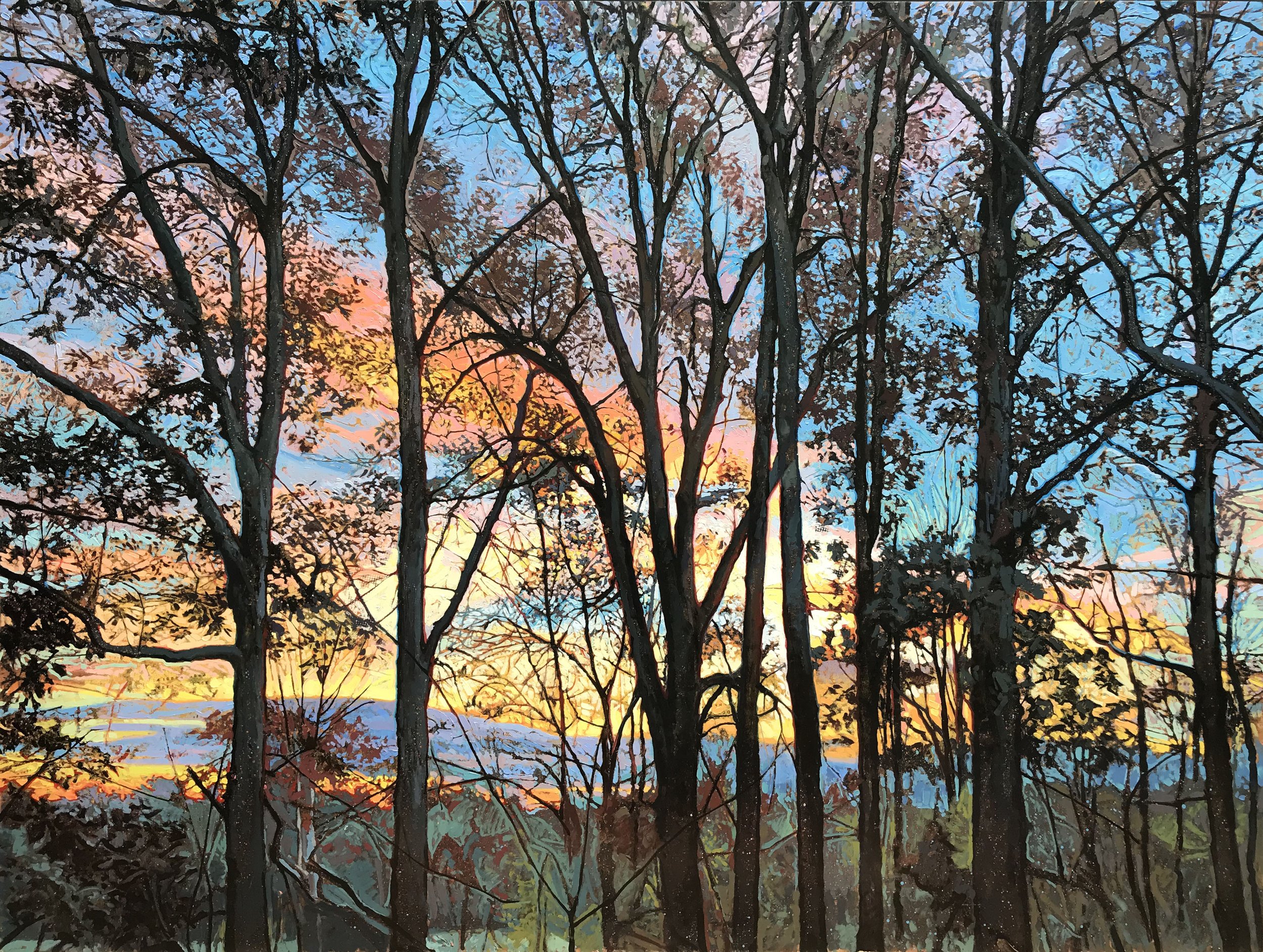 Sunset Through Trees 6.jpg
