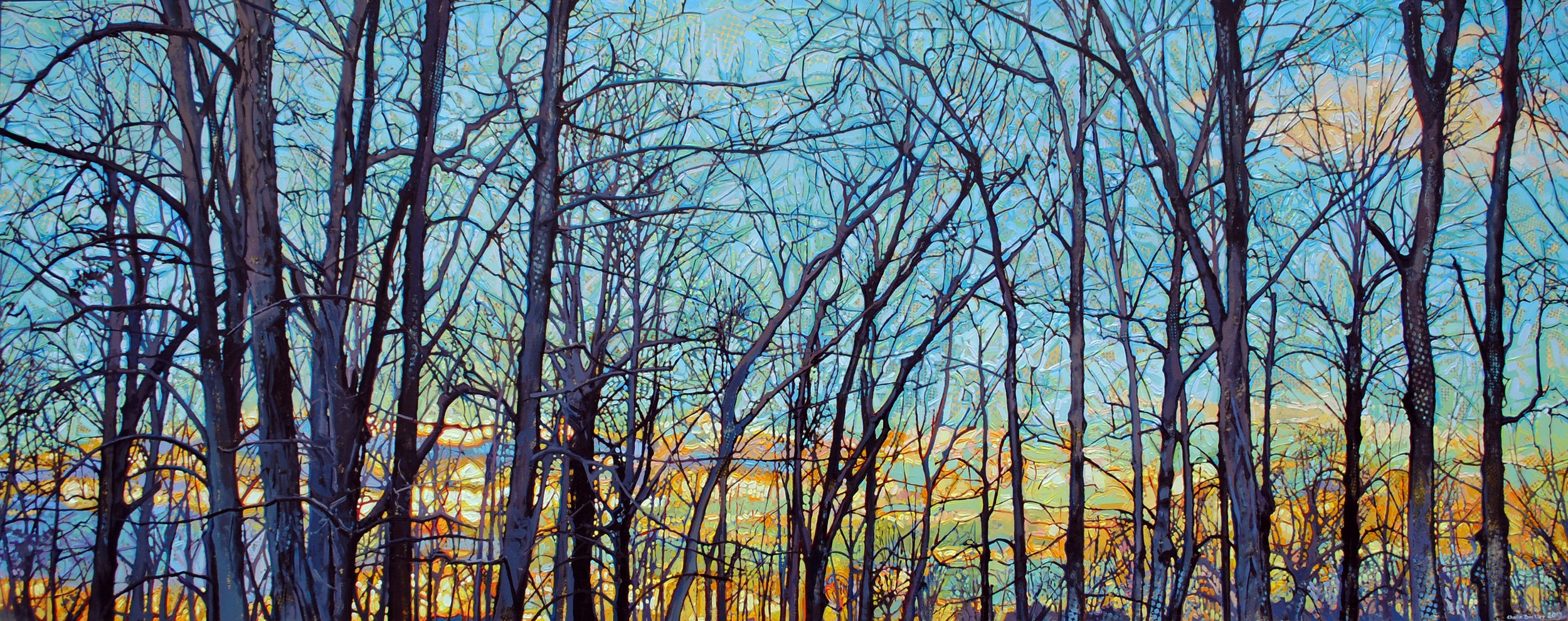 trees at sunset 2.jpg