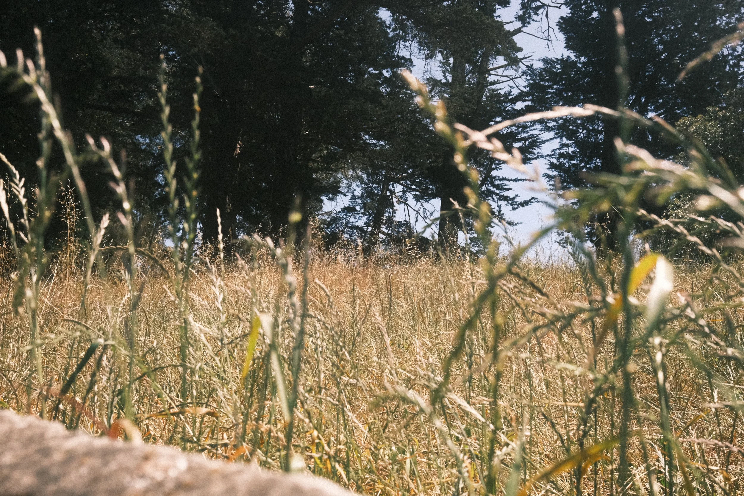 DSCF7219.JPG