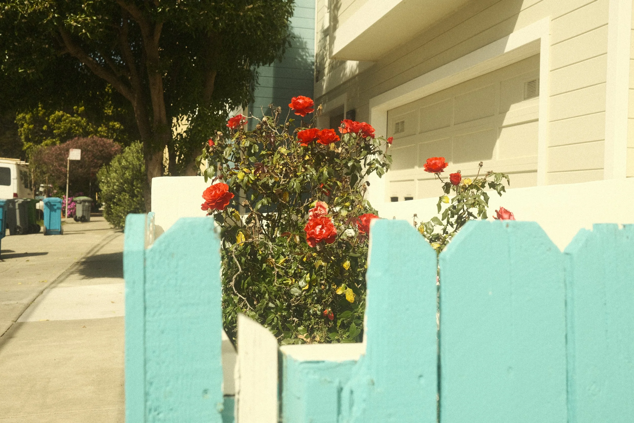 DSCF6770.JPG