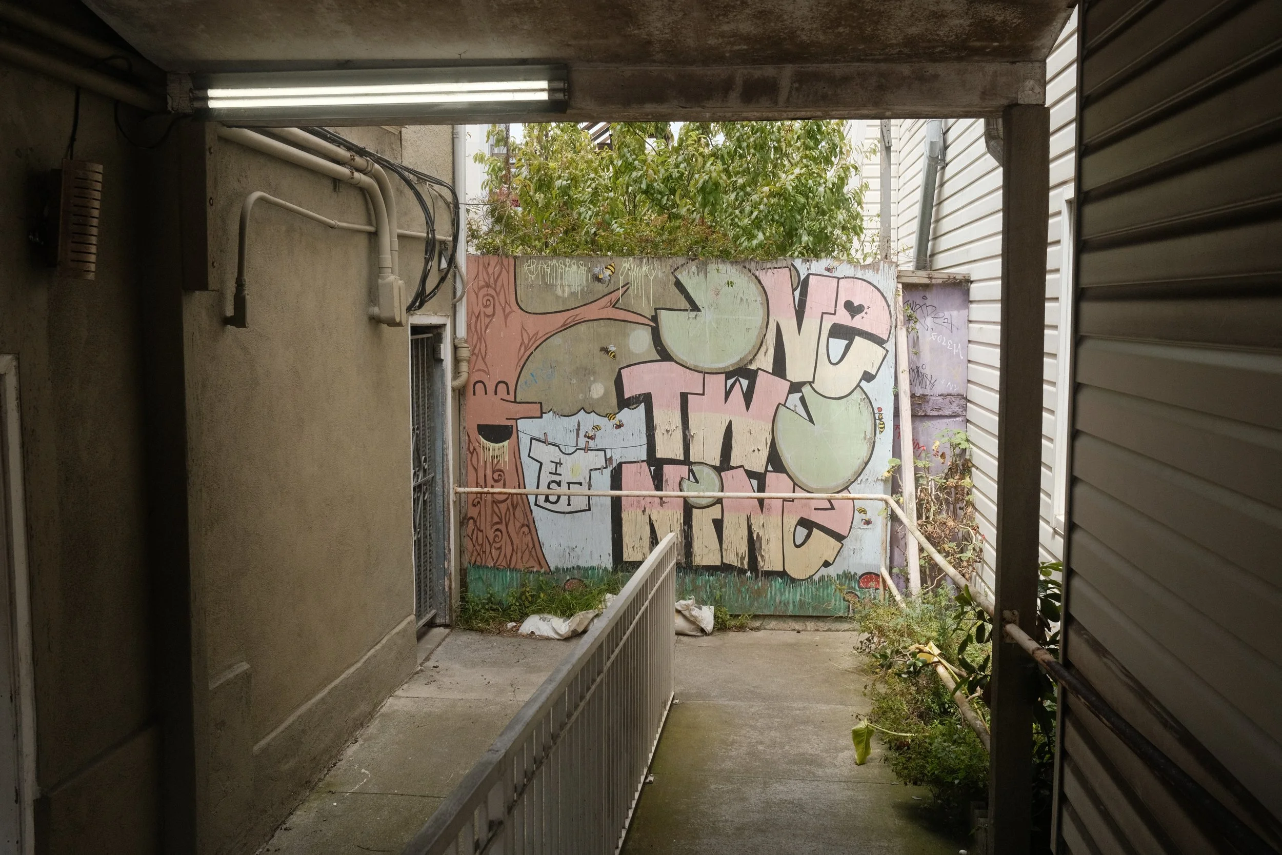DSCF7574.JPG