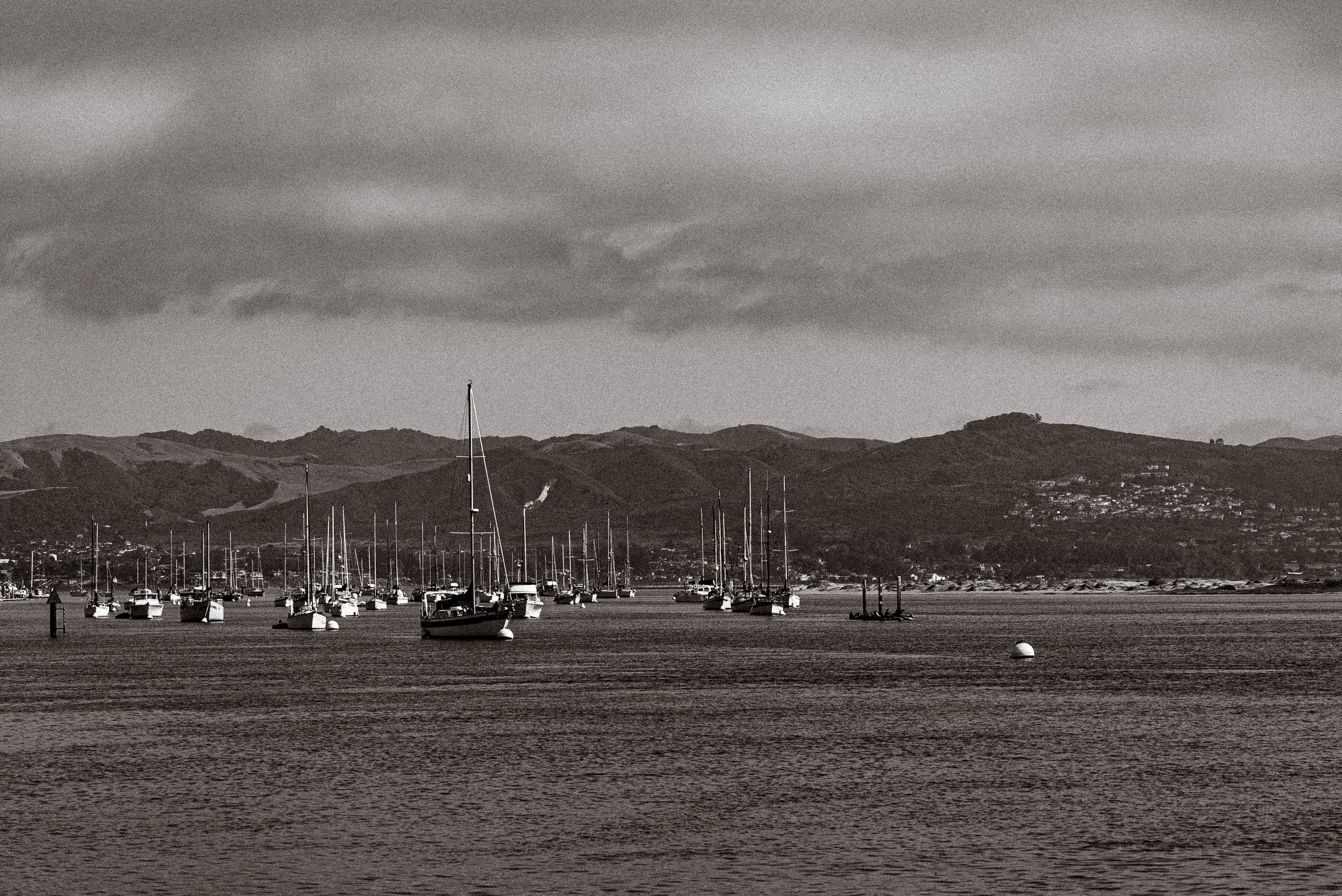 DSC02145.jpg