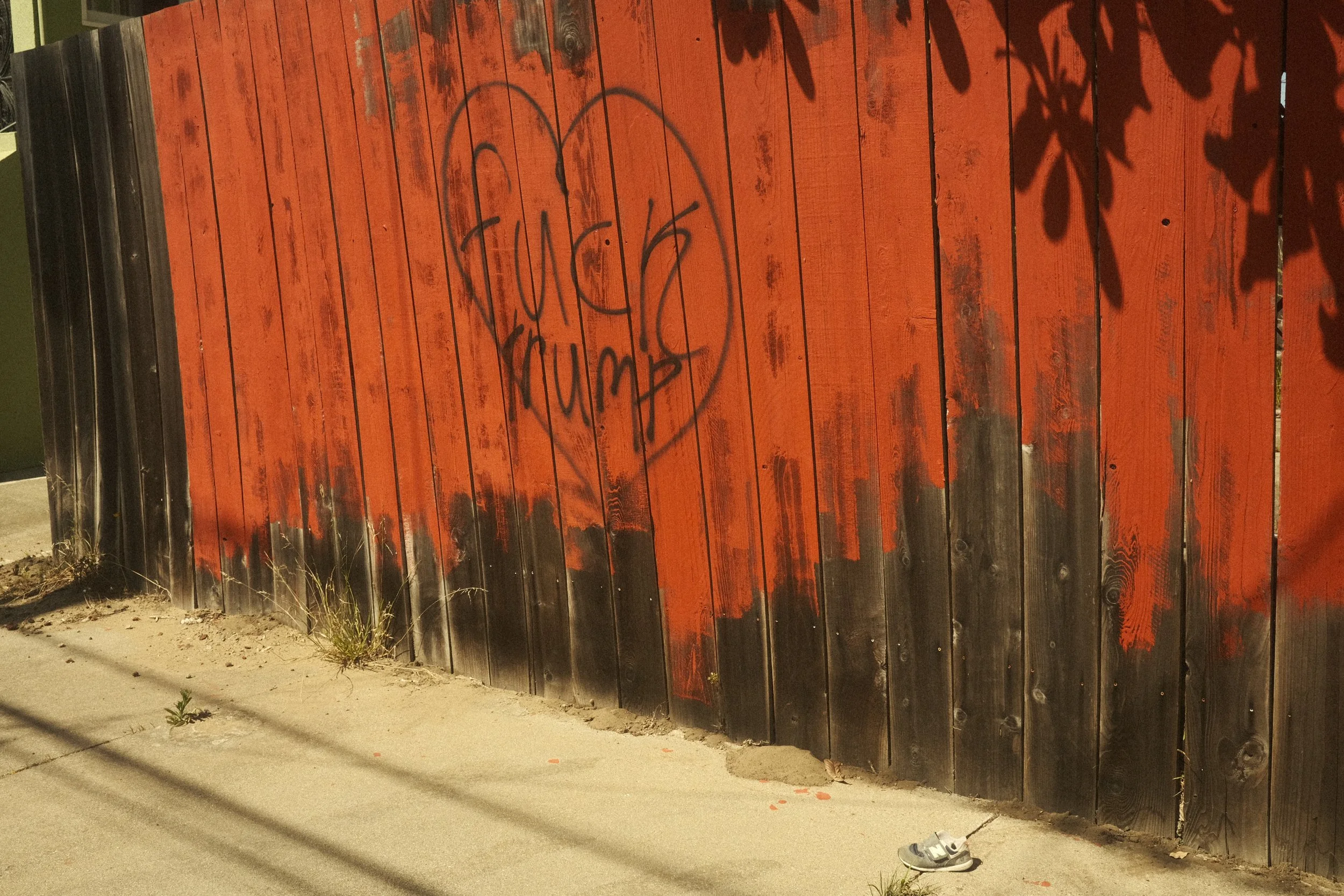 DSCF6750.JPG