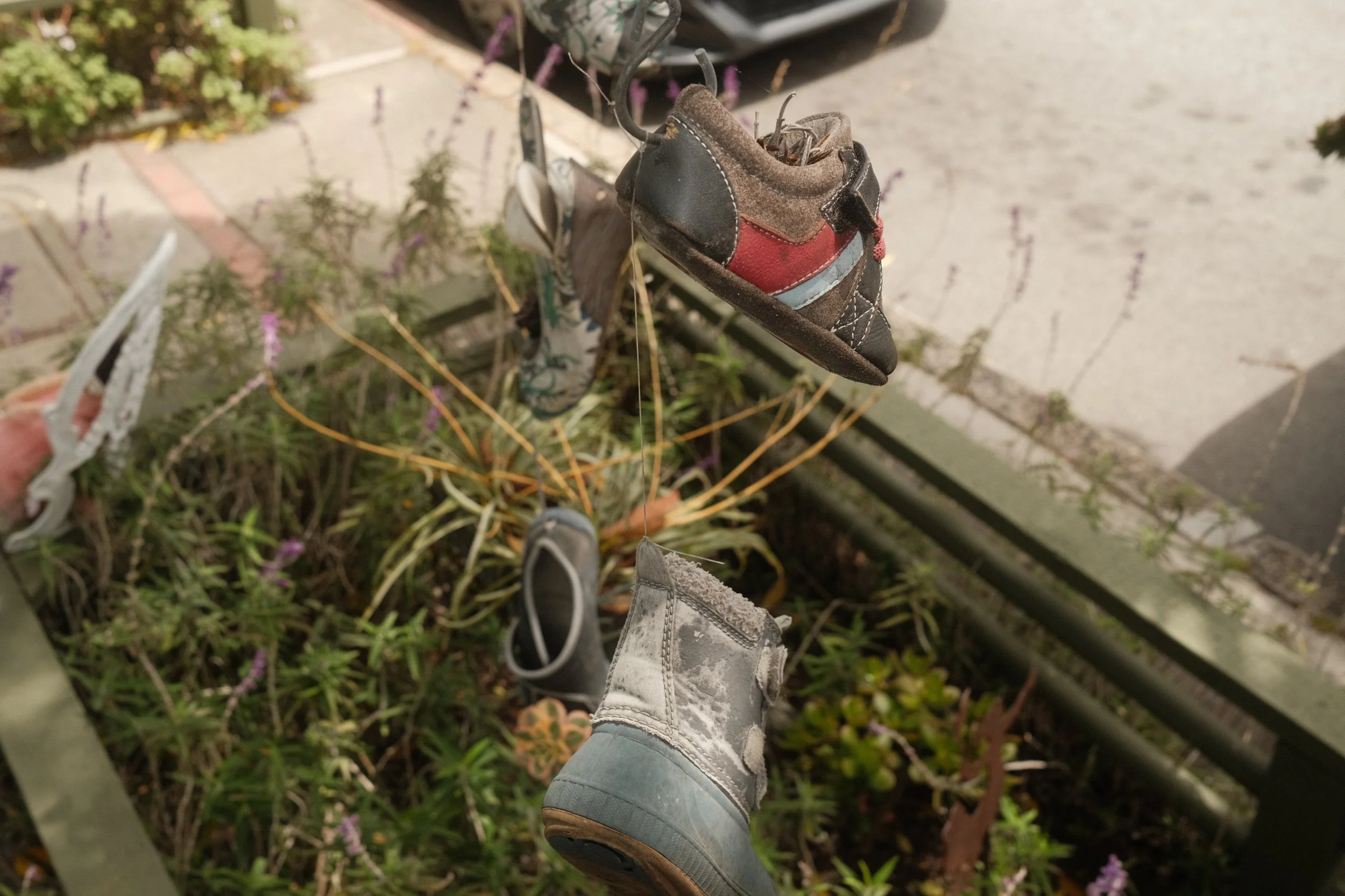DSCF7572.JPG