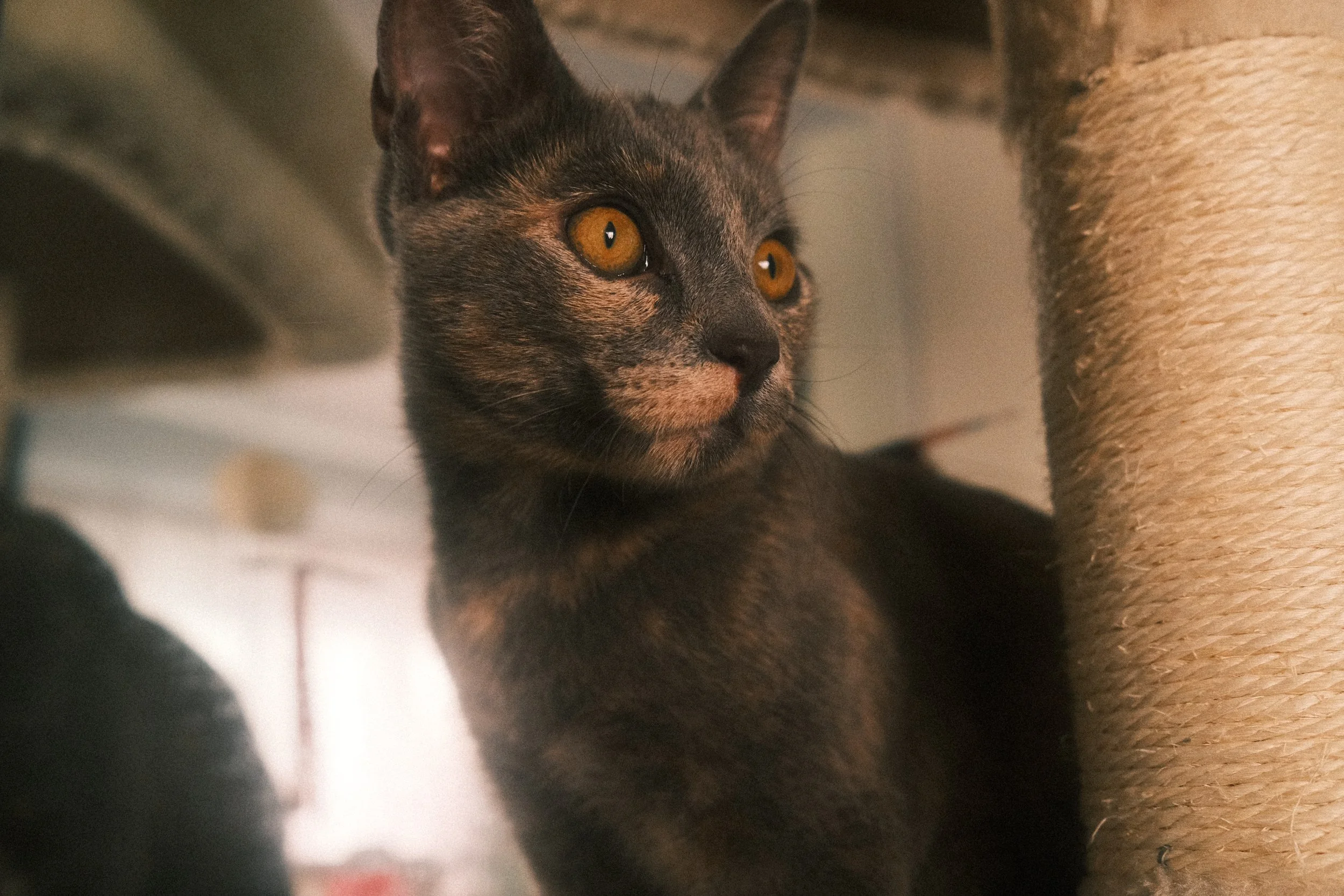 DSCF7855.JPG