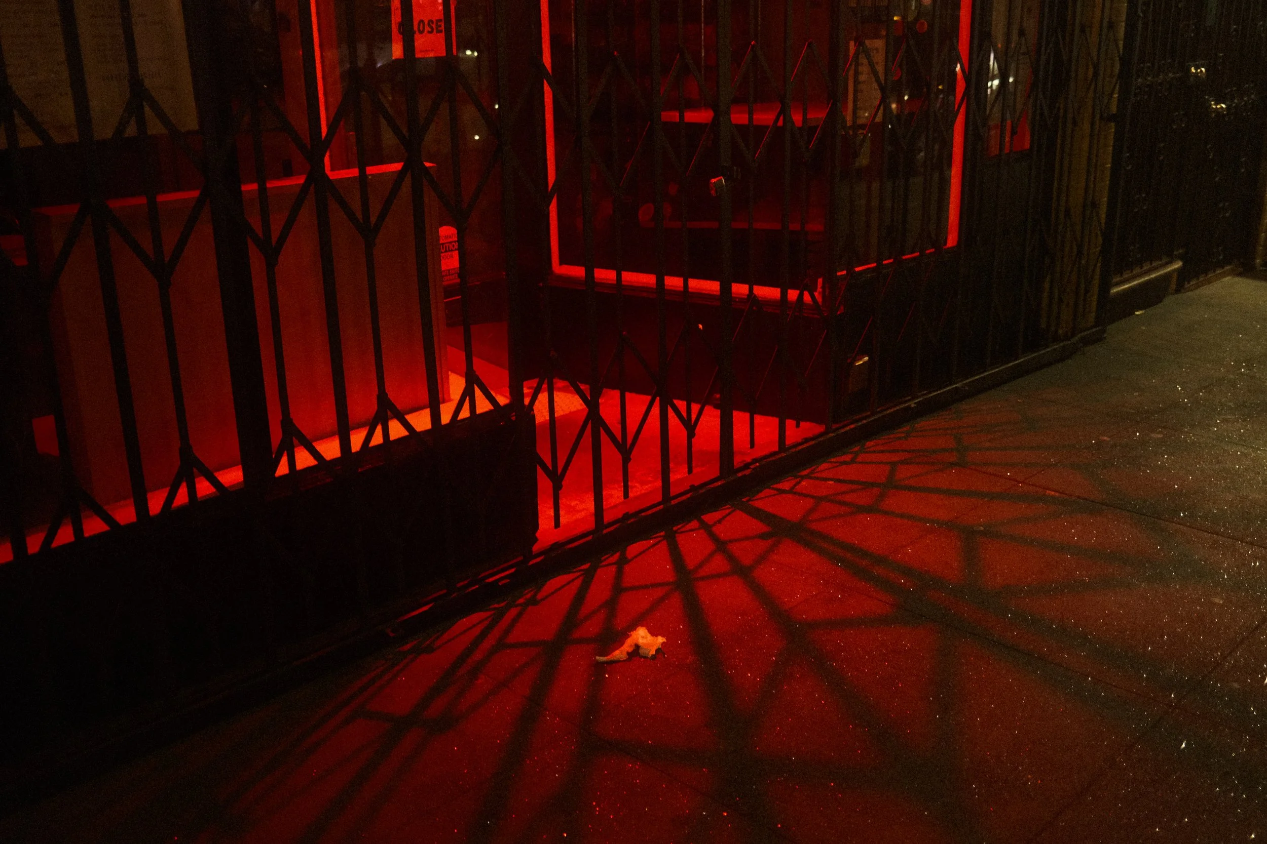 DSCF6805.JPG
