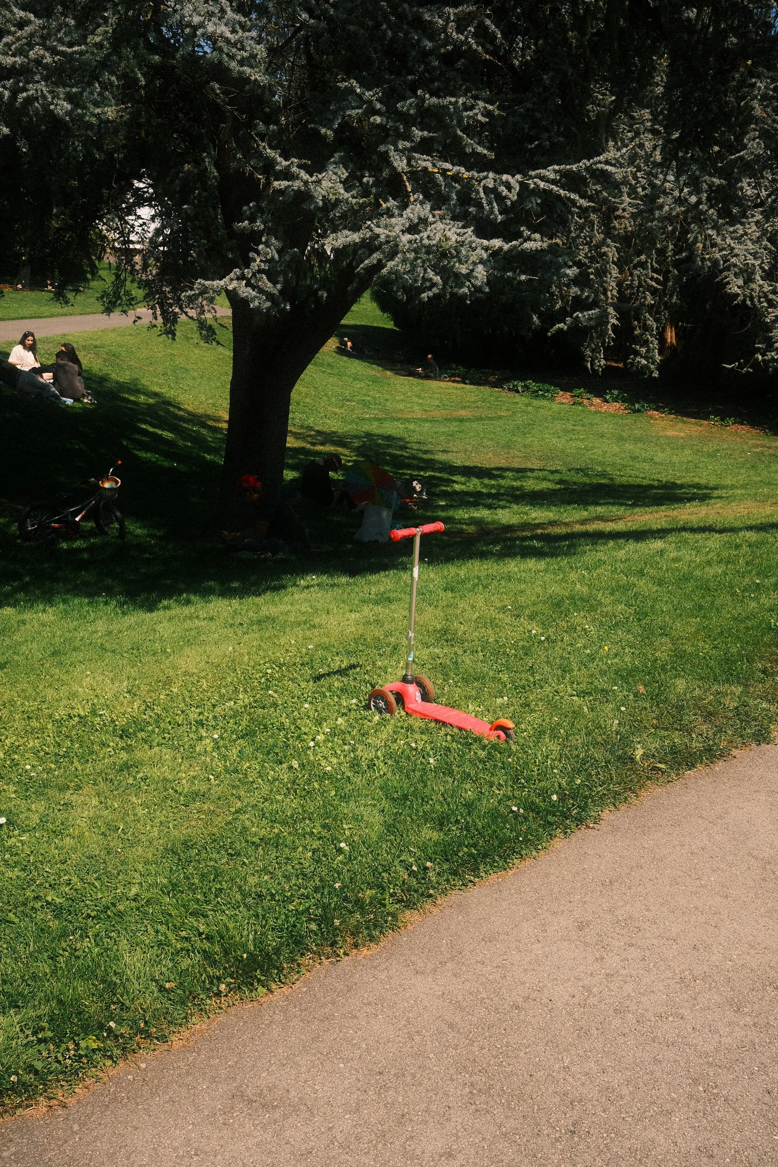 DSCF8005.JPG