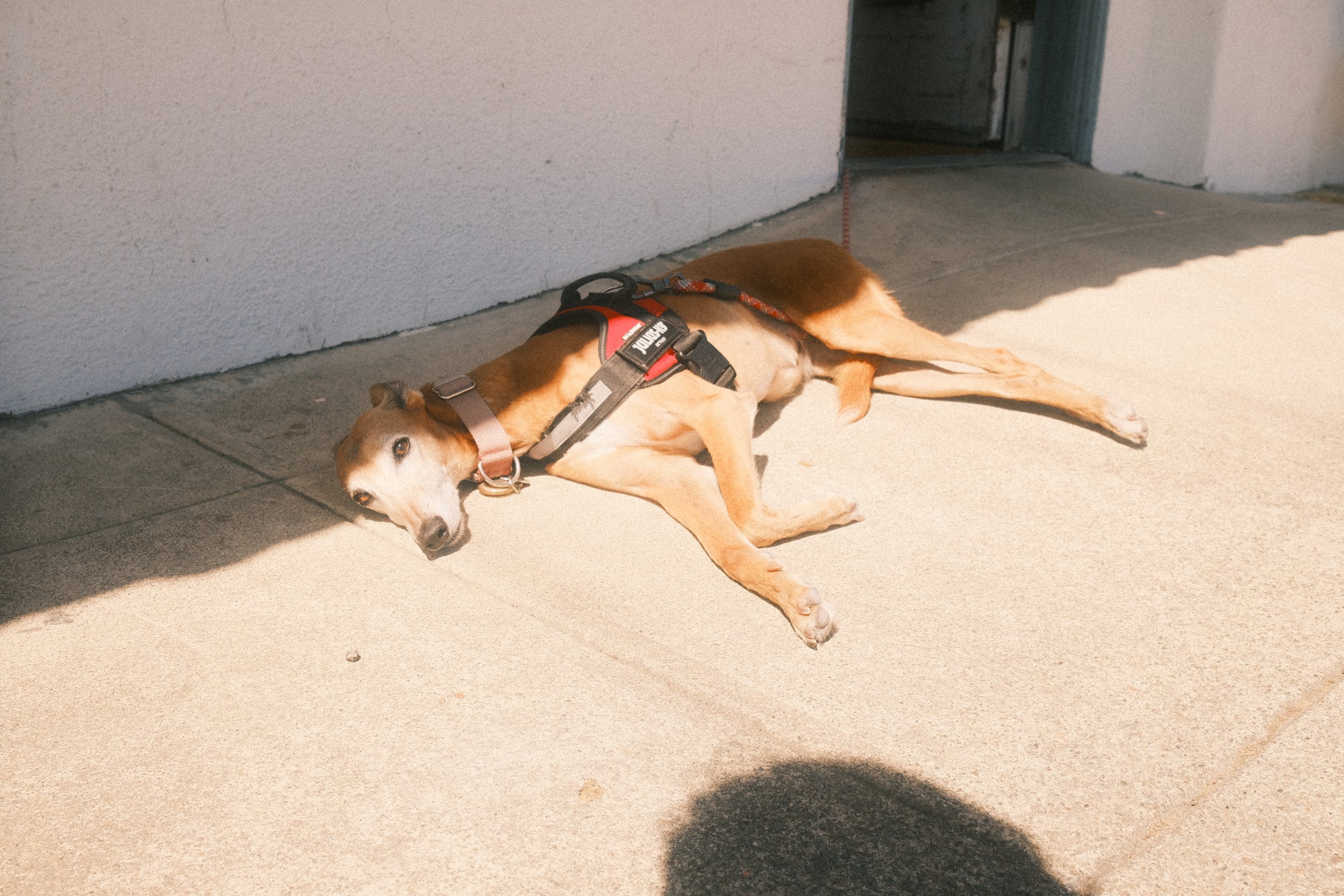 DSCF7879.JPG