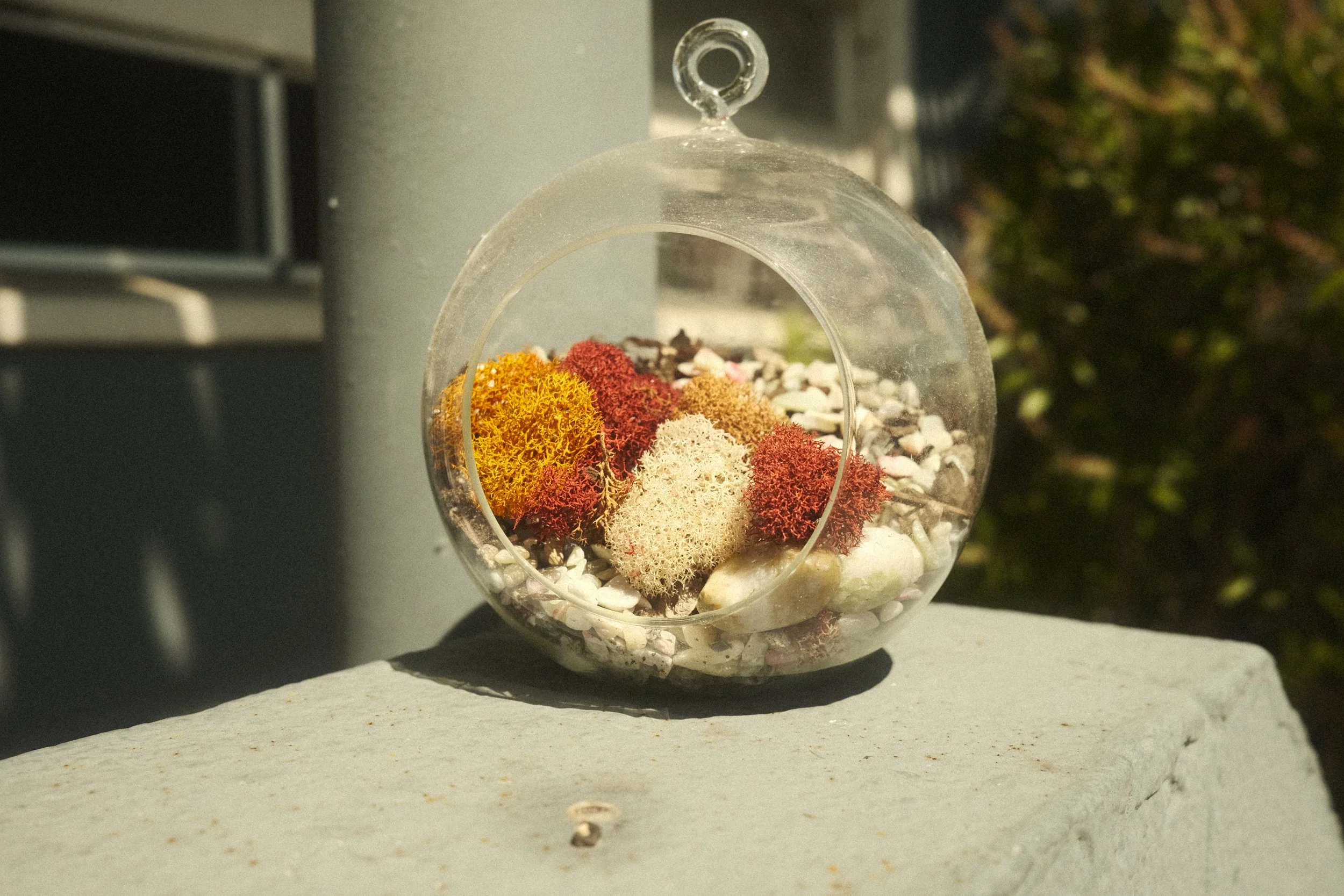 DSCF6761.JPG