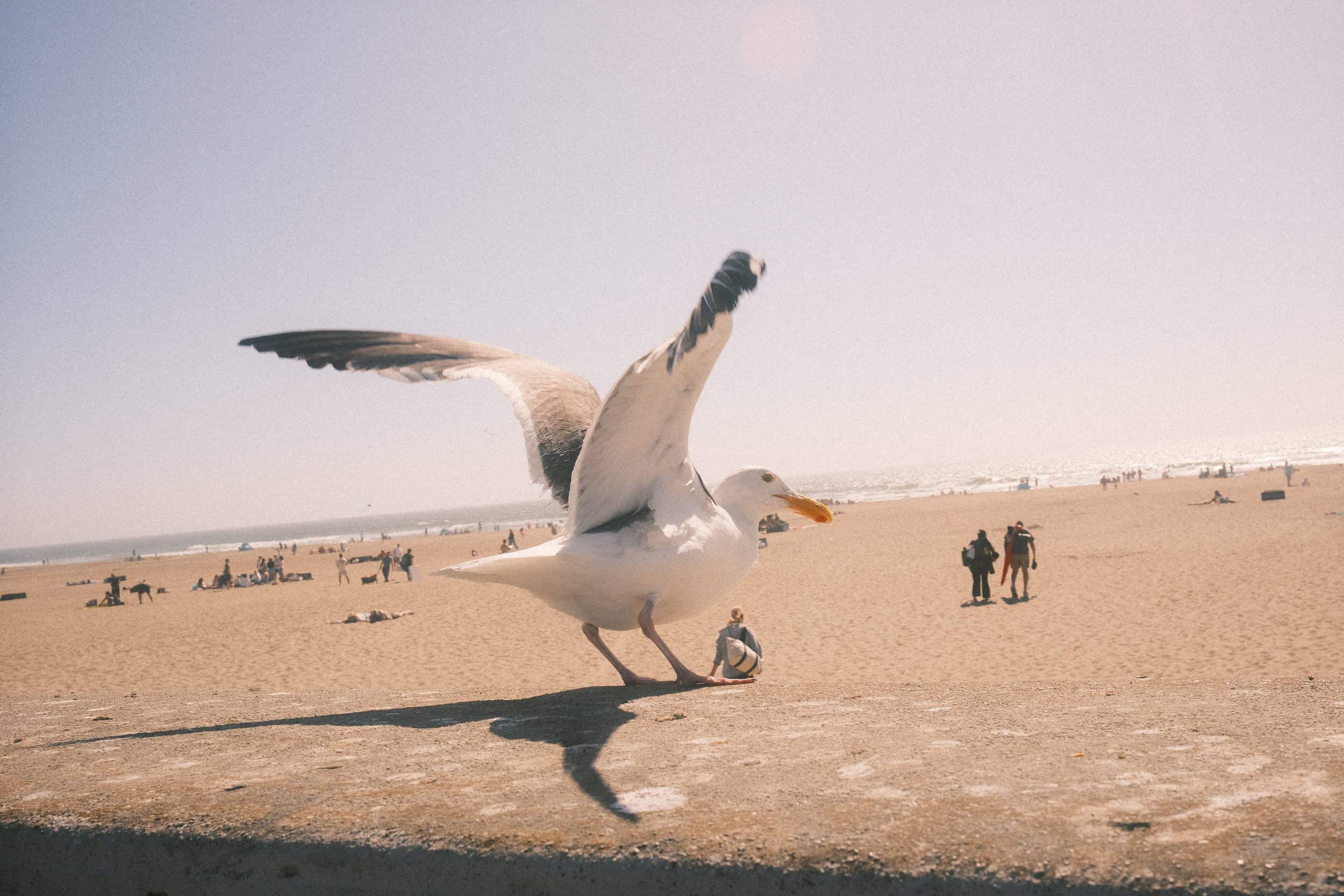 DSCF7904.JPG