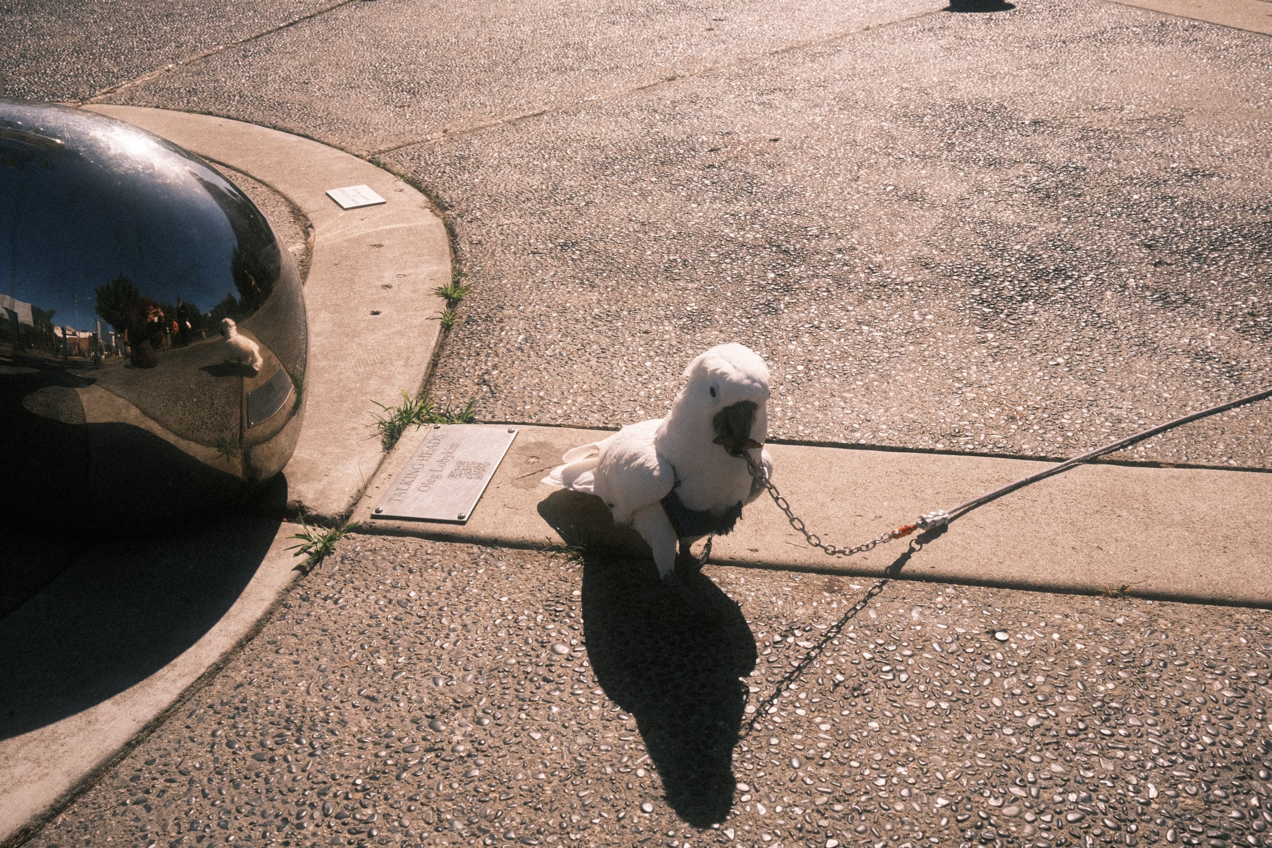 DSCF7258.JPG