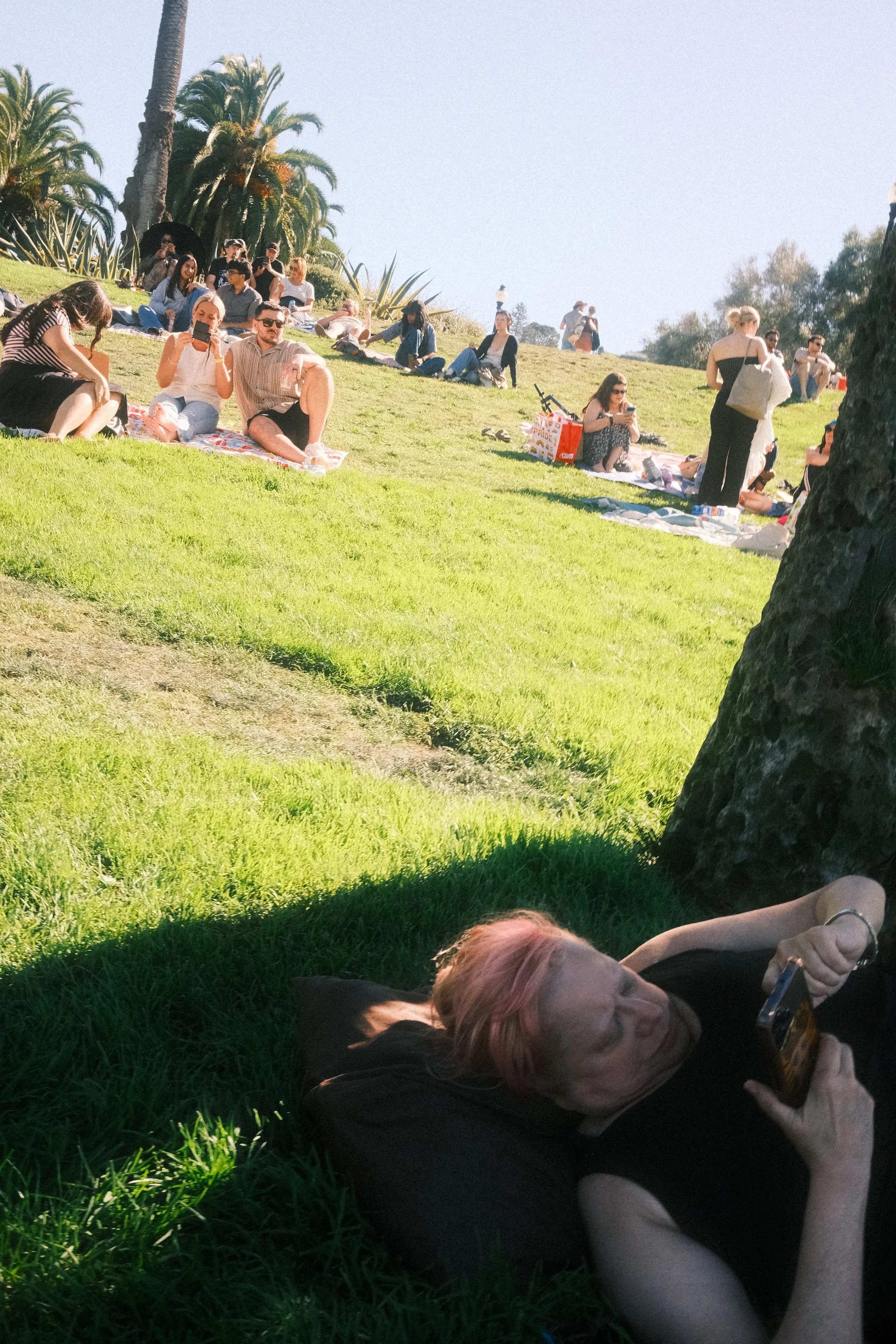 DSCF8051.JPG