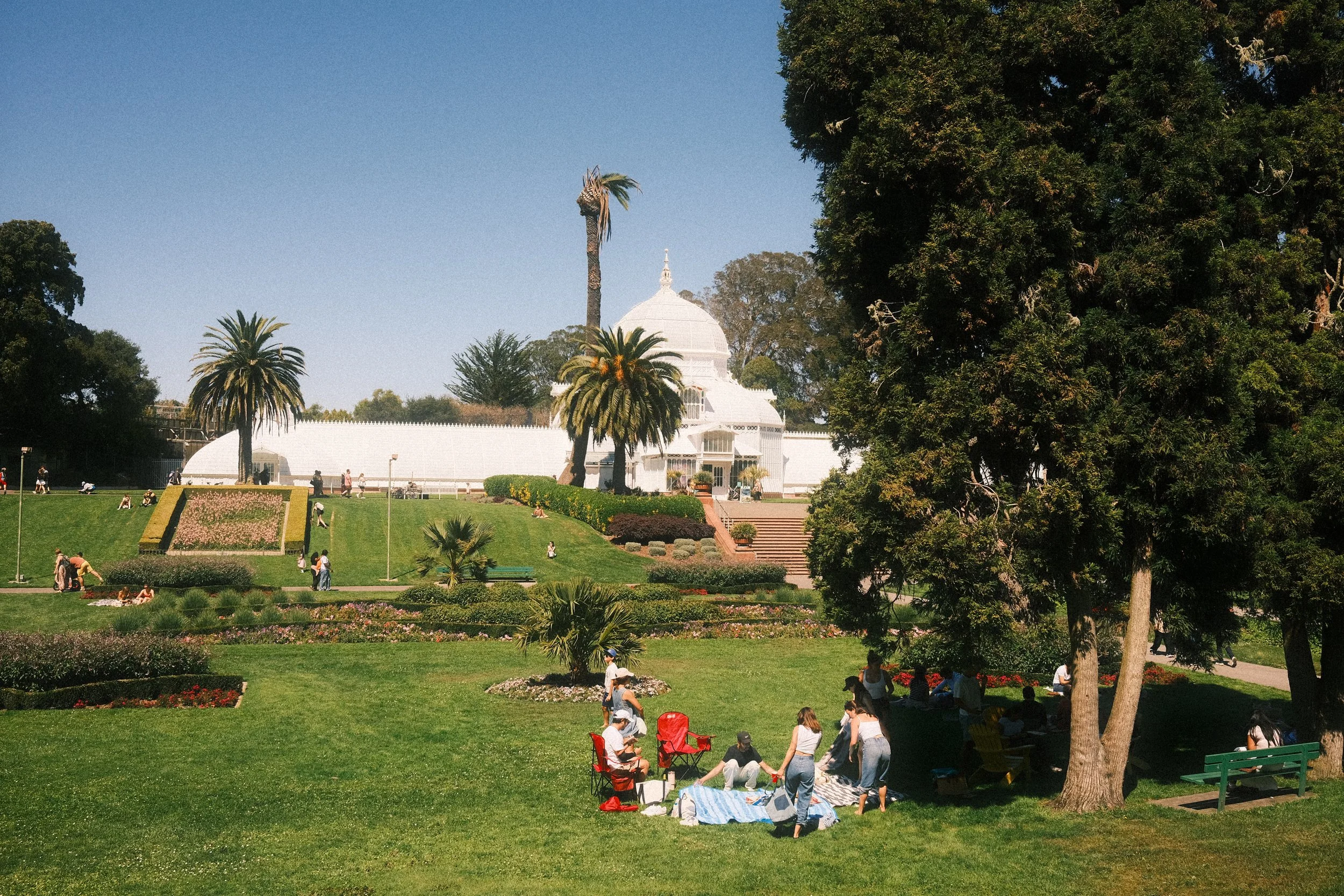 DSCF8008.JPG