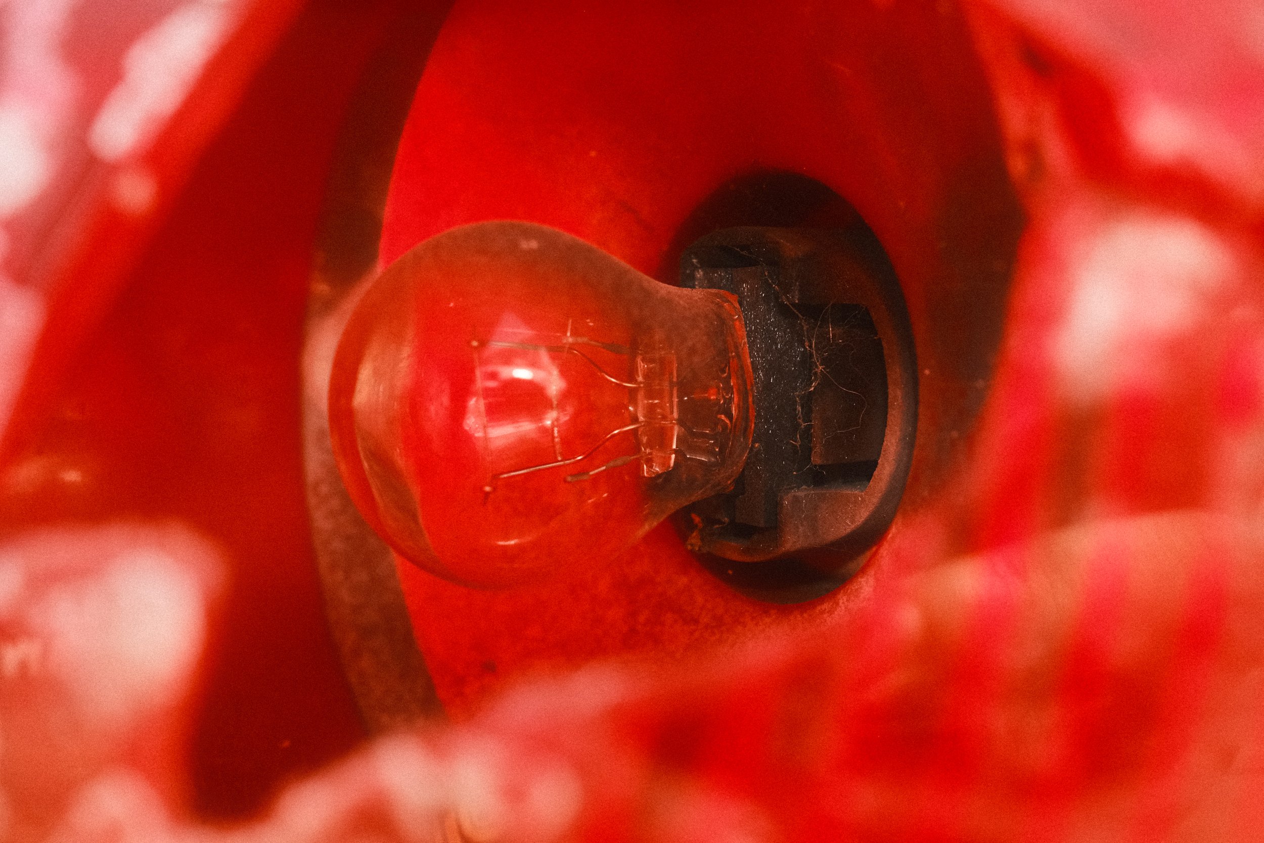 DSCF7863.JPG