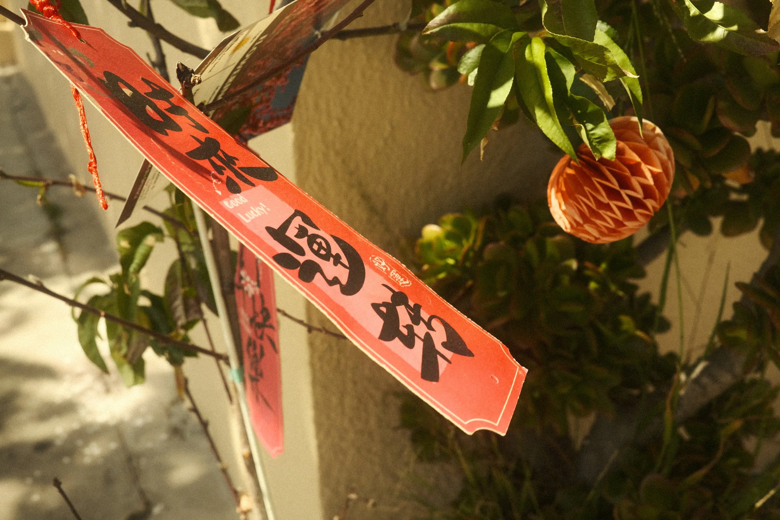 DSCF6754.JPG