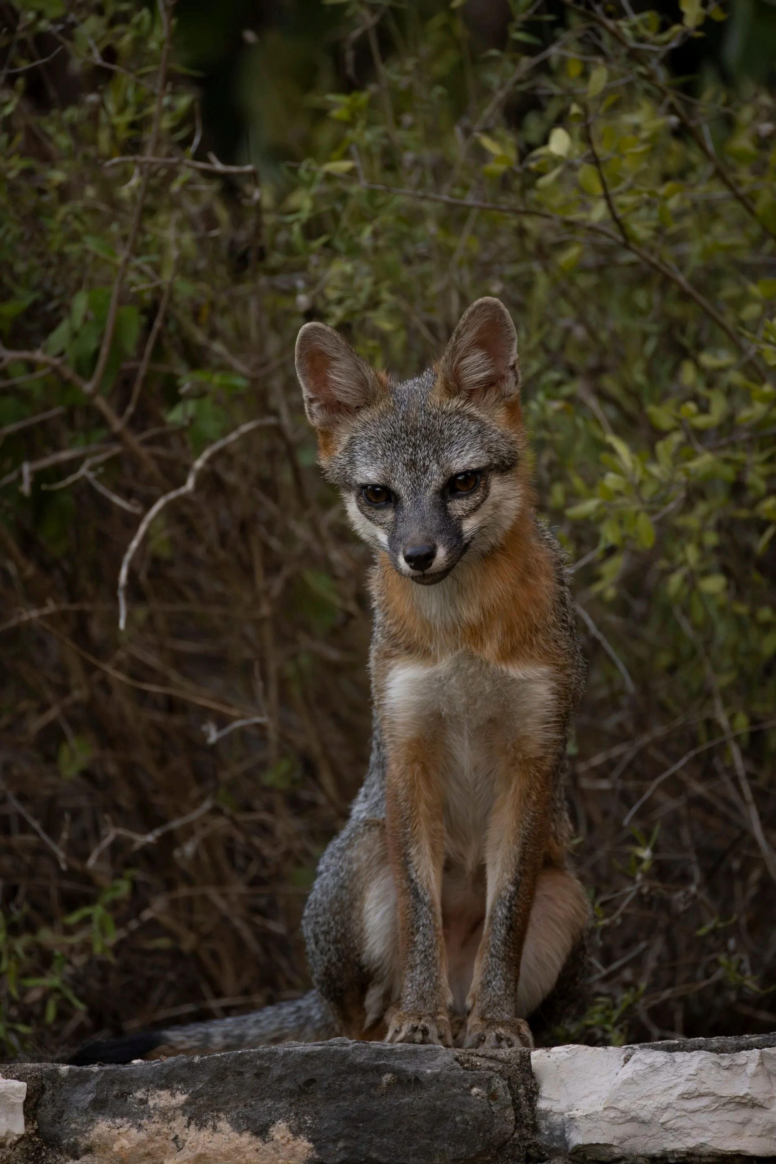 6G9A2524-Enhanced-NR-3.jpg