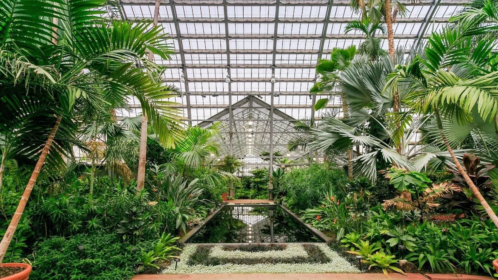Garfield Park Conservatory