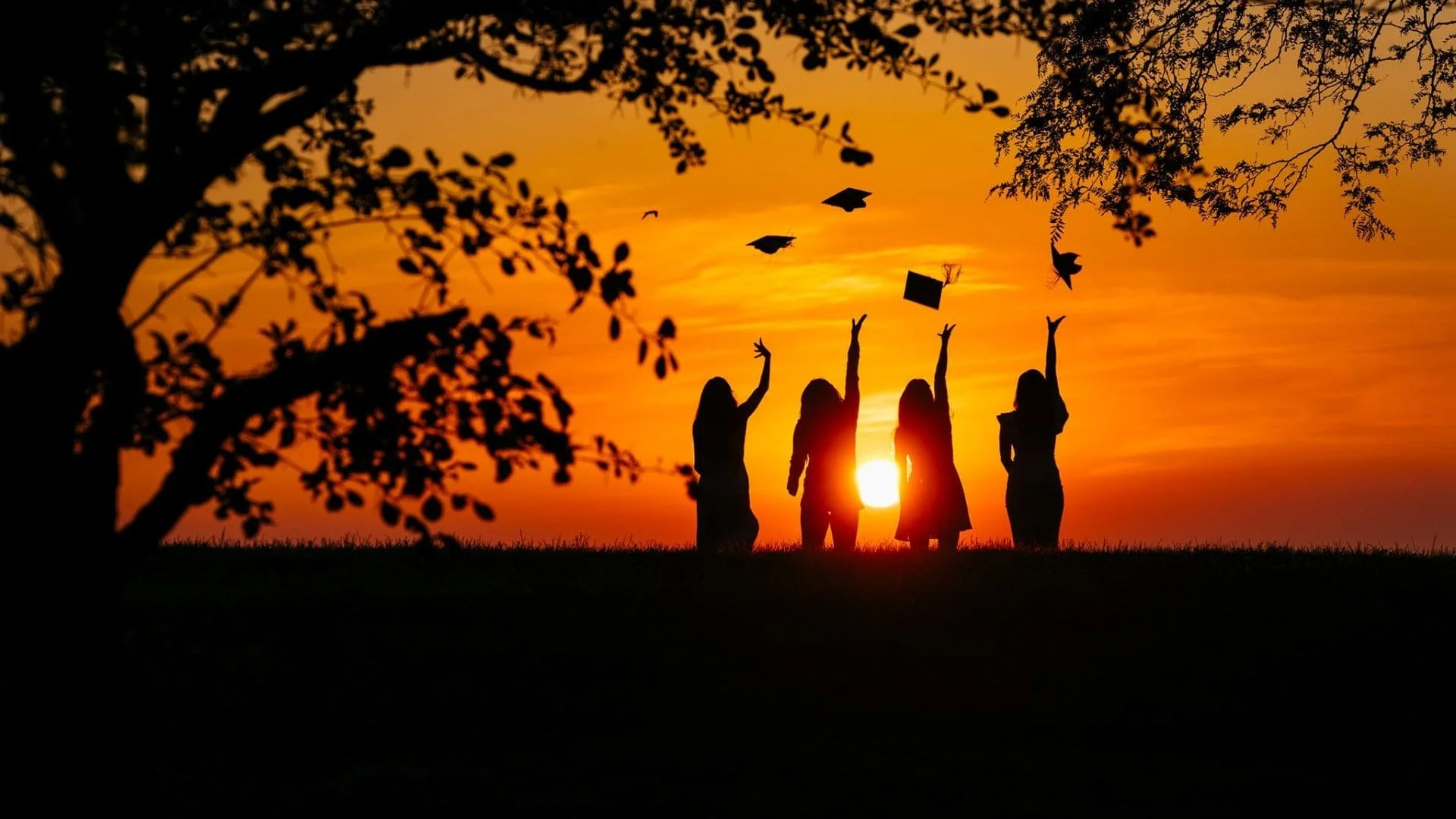 Alan Luntz Photography