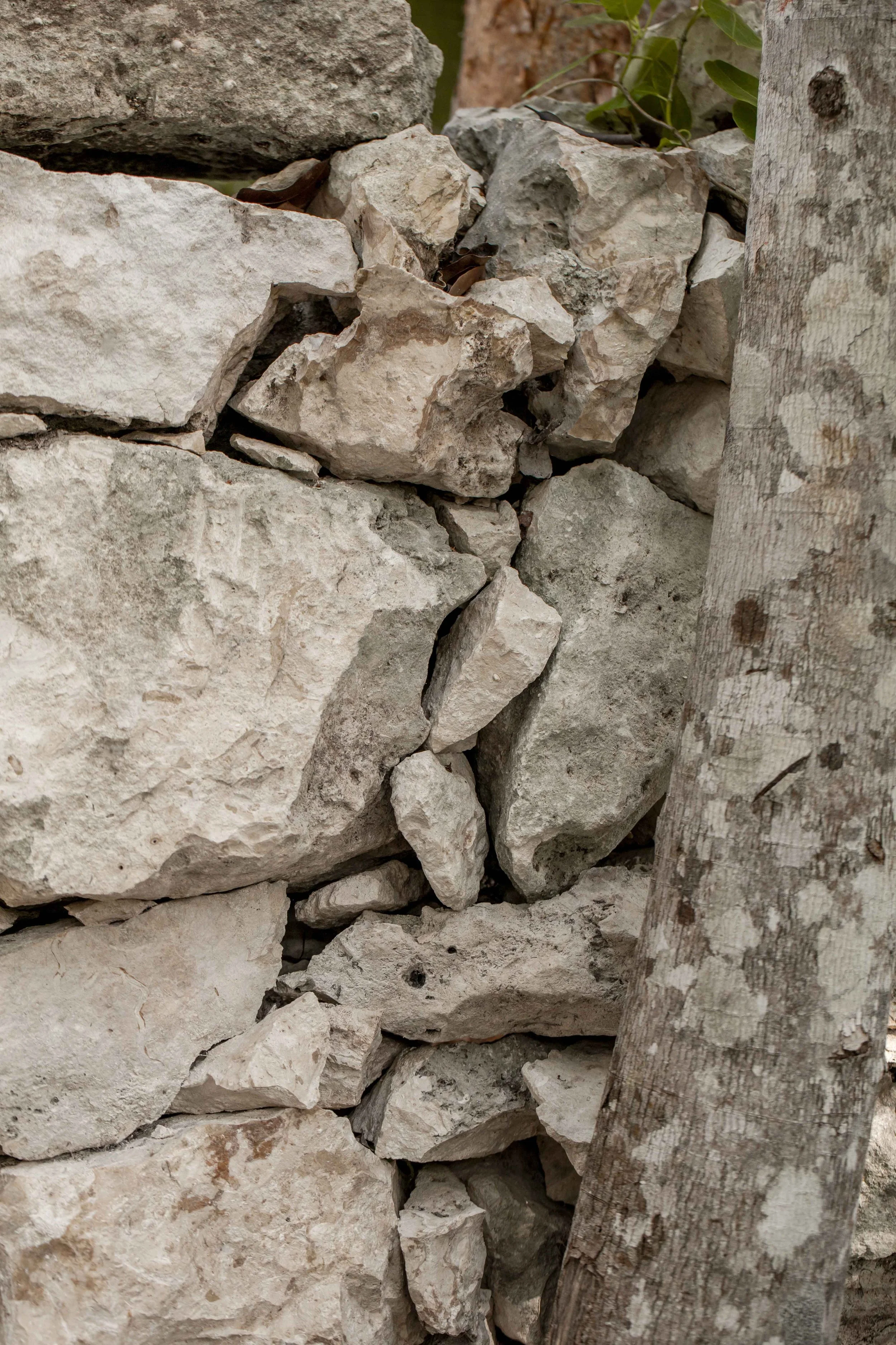 Bioarchitecture Home Tulum Pura