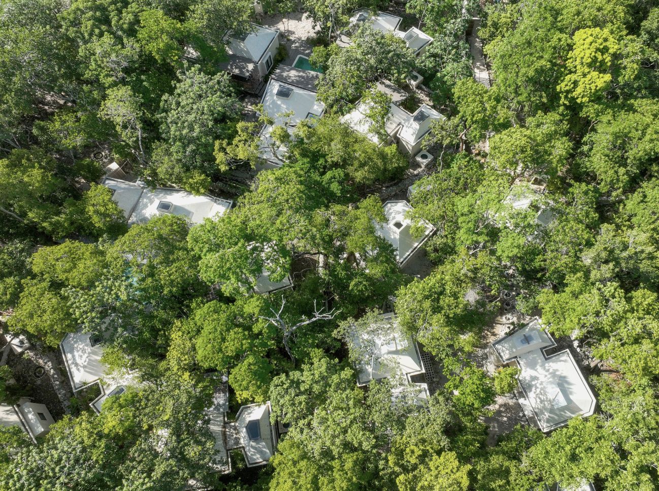 Screen Shot 2023-09-10 at 7.17.57 PM.png