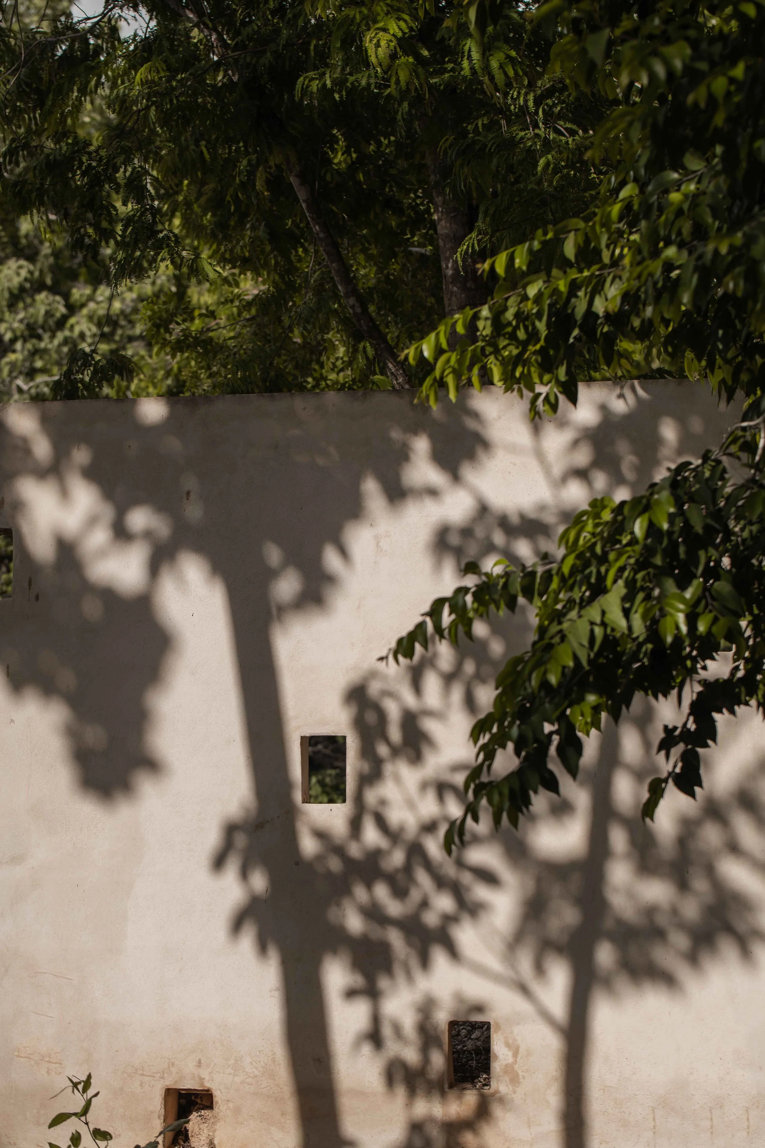 Pura Tulum Sustainable Eco Homes