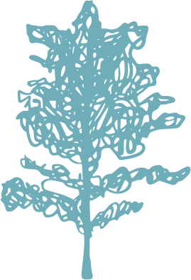 pura homes with gardens tulum