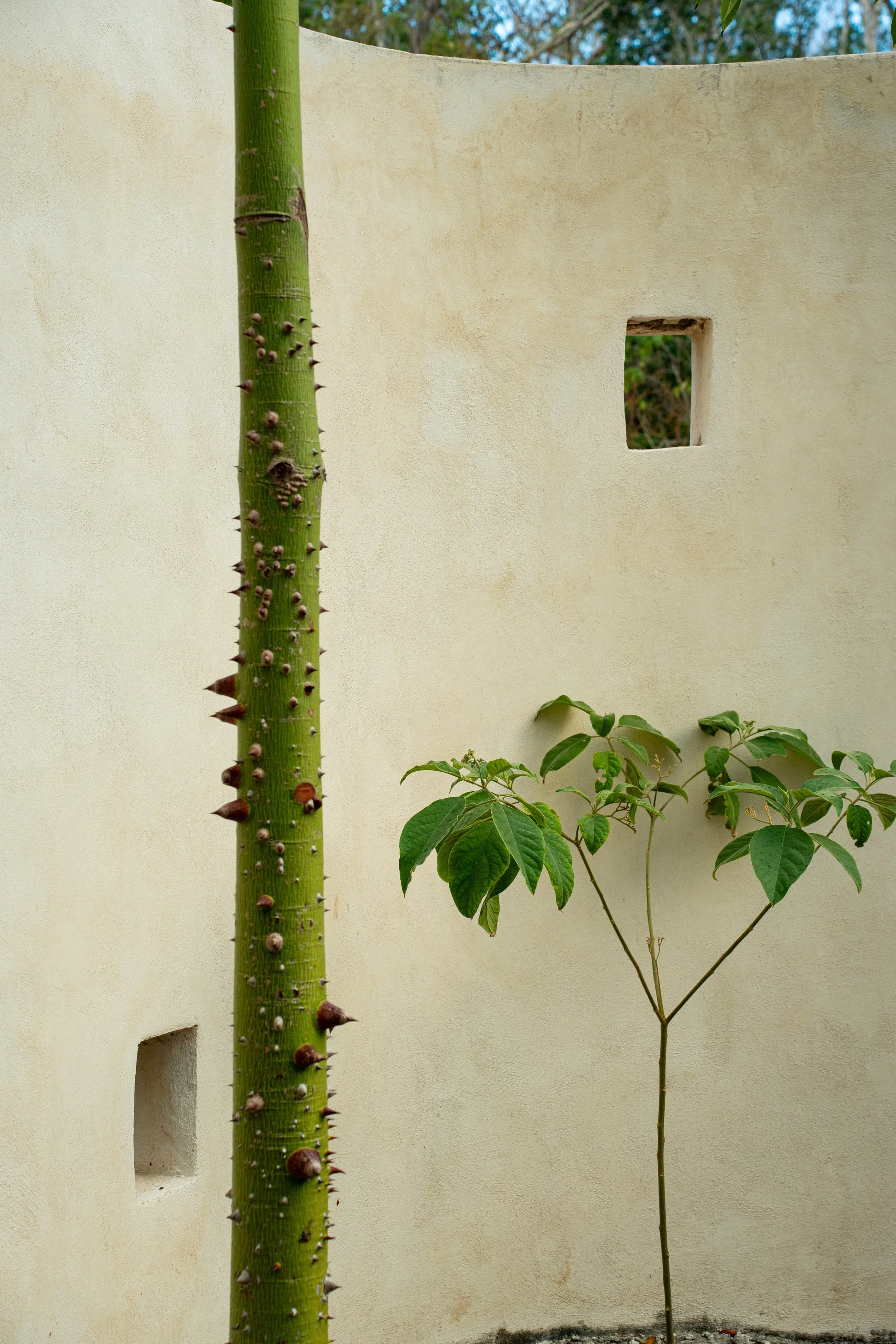 Pura Natural Homes for sale in Tulum Mexico