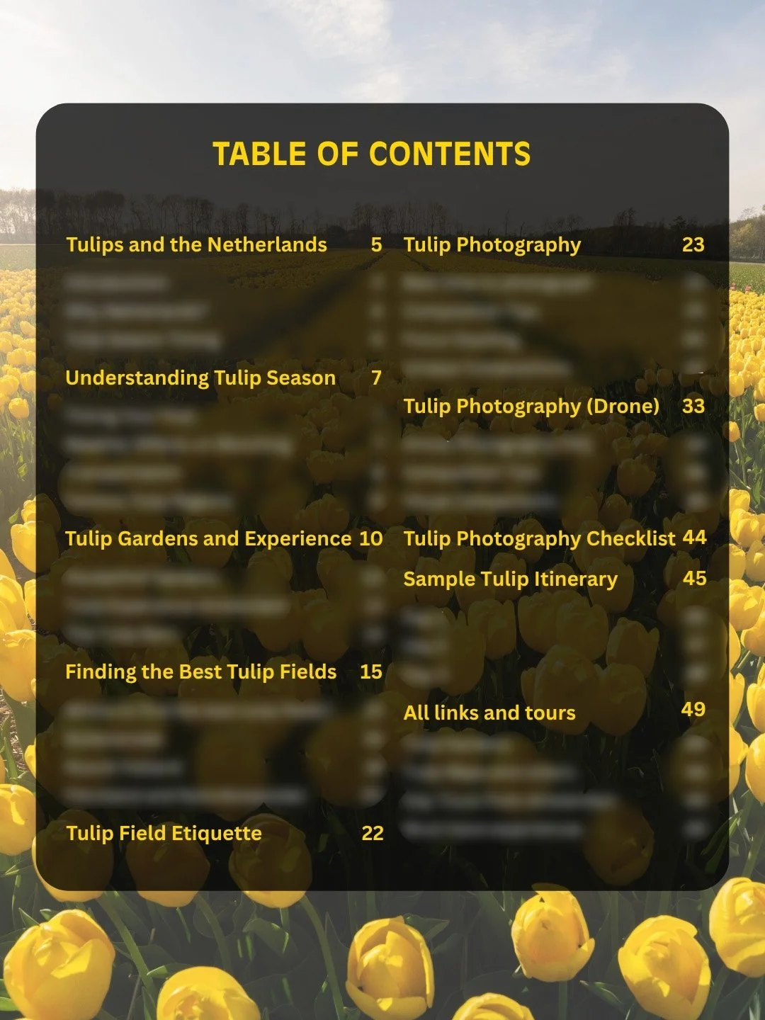 Table of Contents.jpg