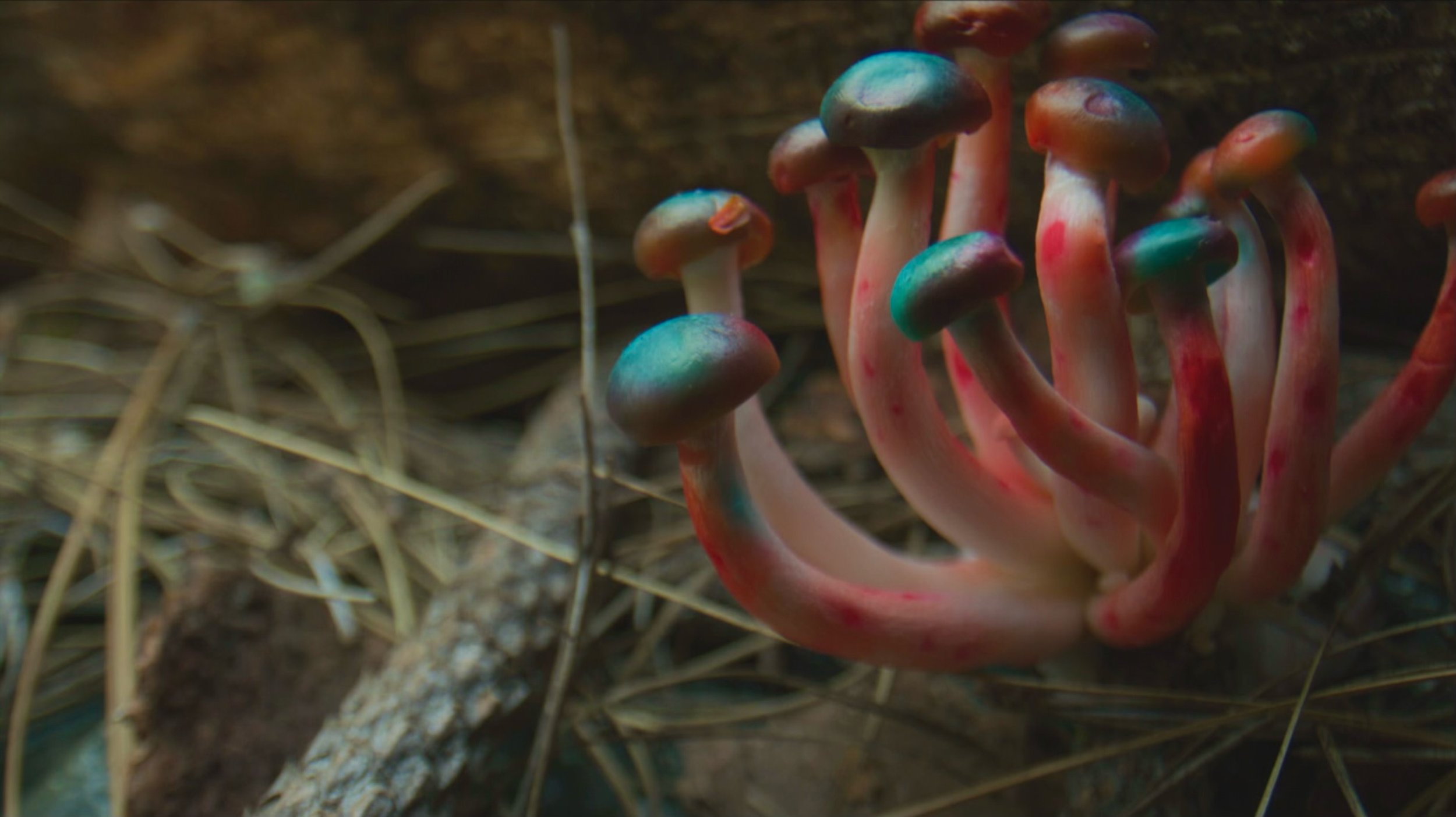 Still from the short