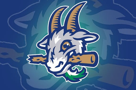 Yard Goats Game