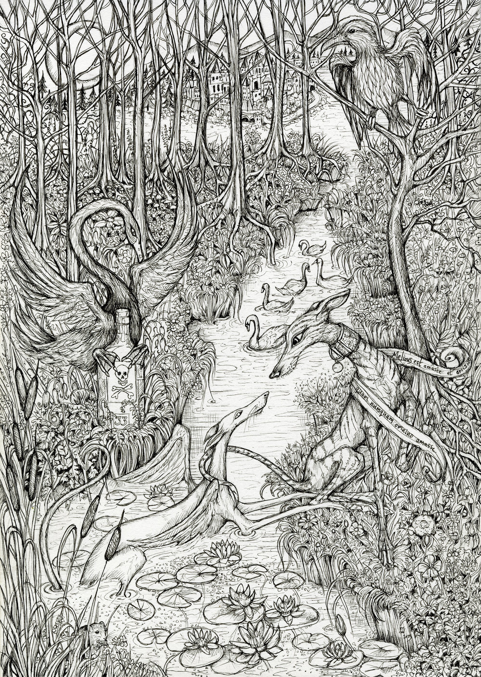 swanlakeinversion copy.jpg