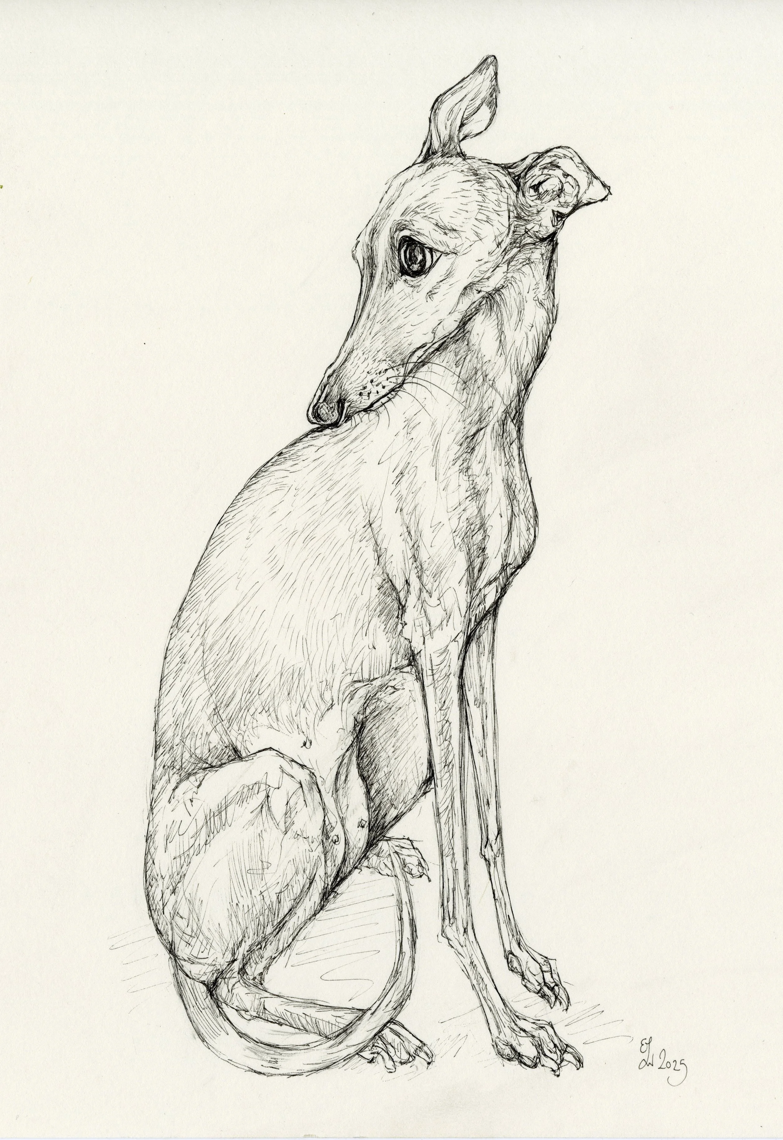 obssessive-silky copy75.jpg