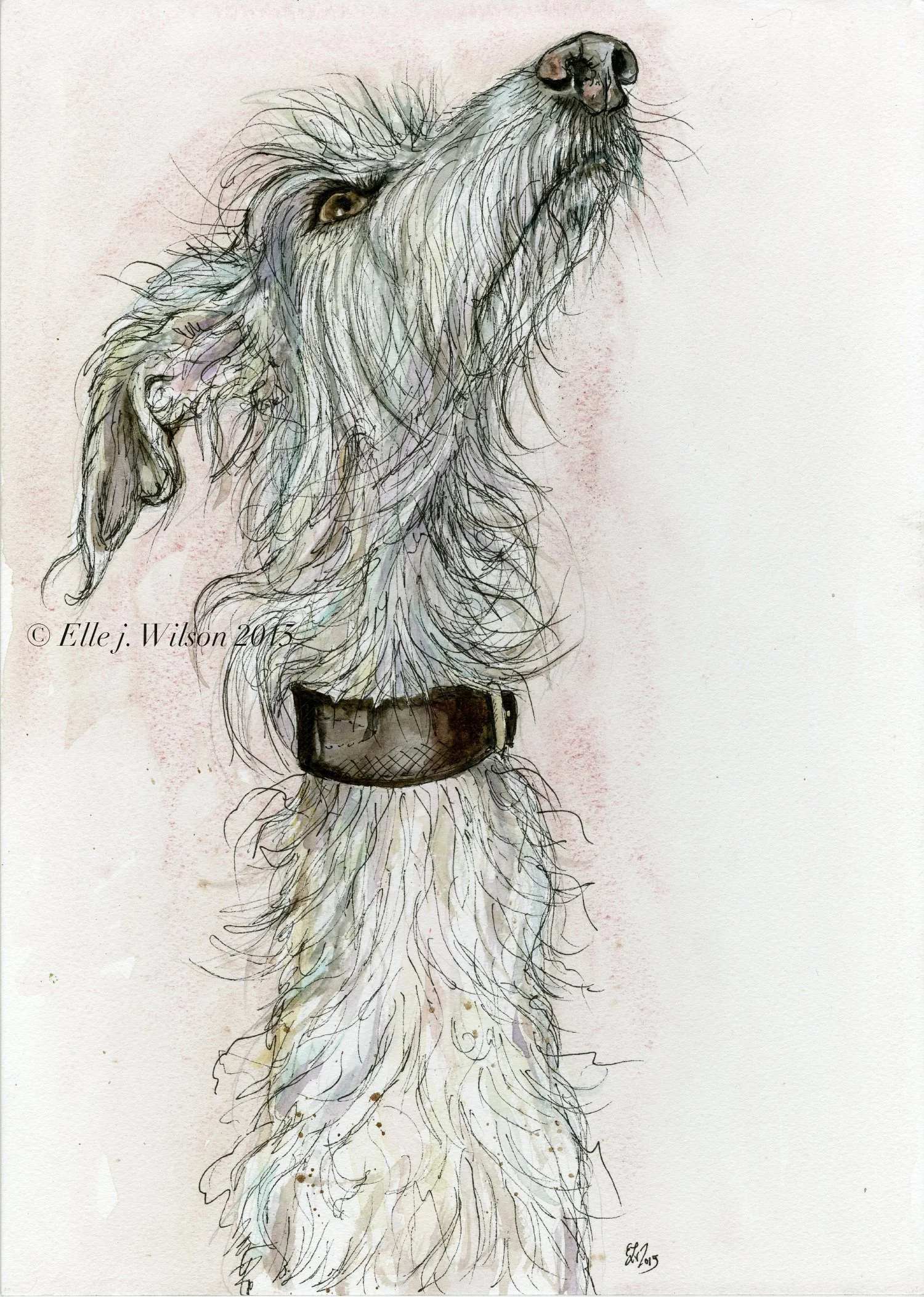 A little Scrufty Wooftyweb.jpg