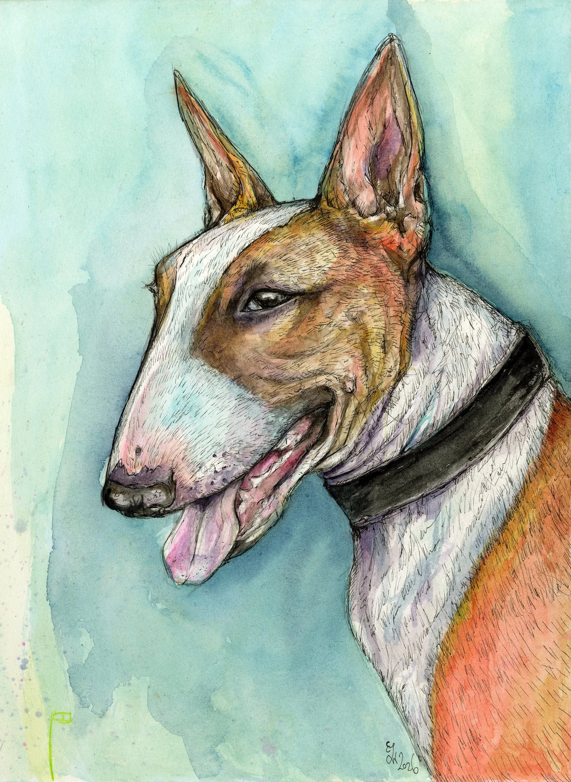 englishbullwhite&tan copy.jpg