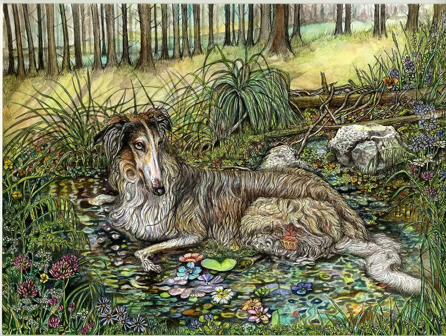 jaskier-borzoiweb.jpg