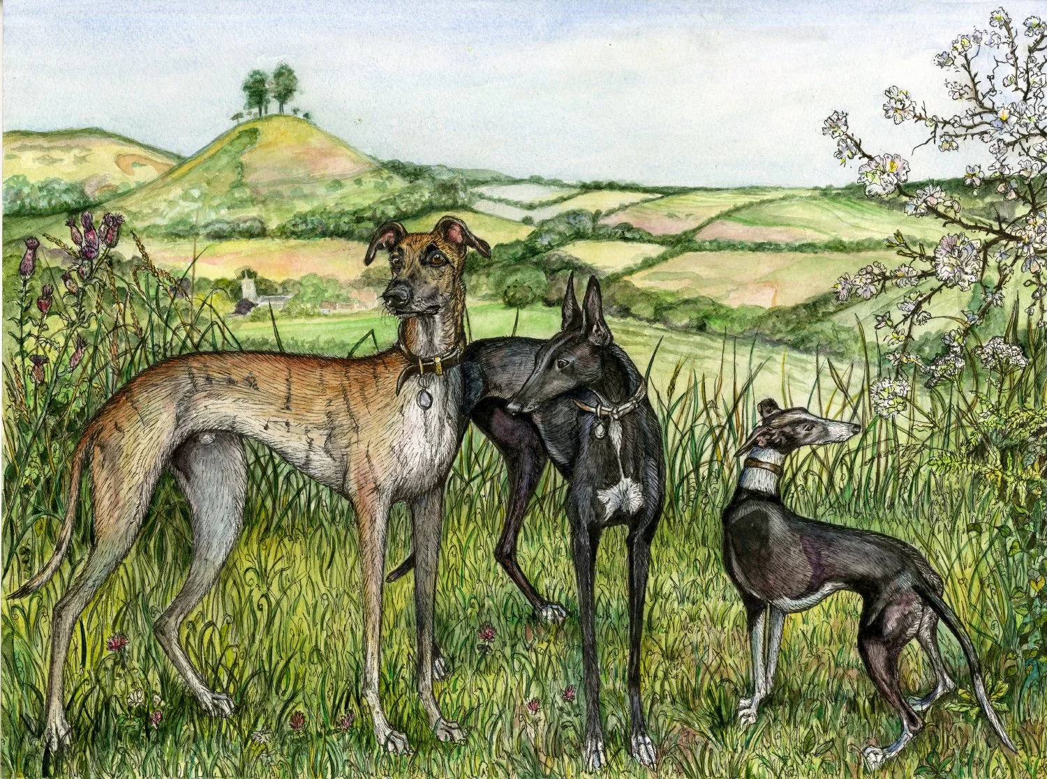 Wilf, Dusty and Mouse - Watercolour & Pen