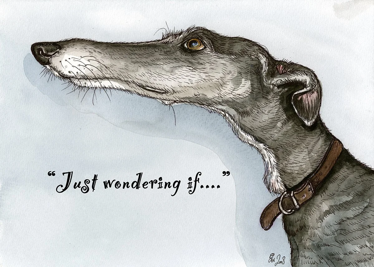 Just Wondering Iftext.jpg
