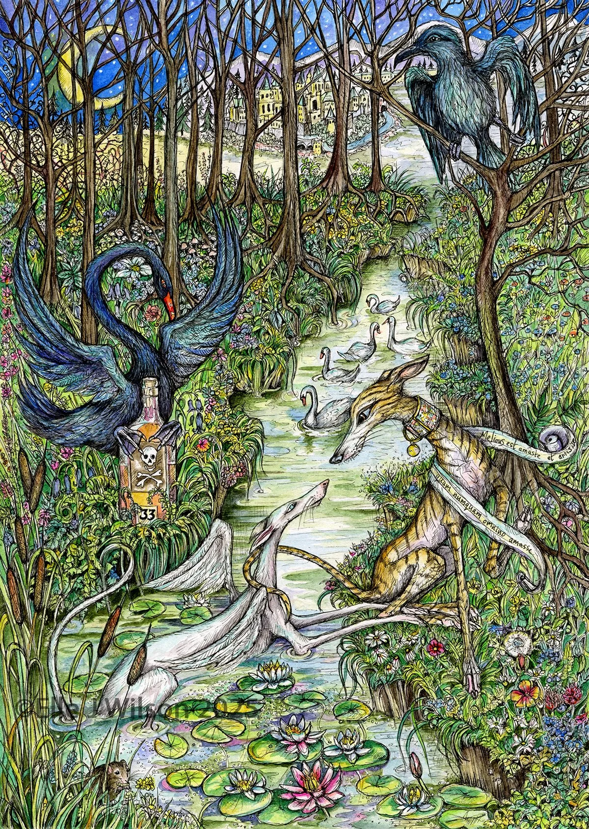 swanlakecolourwmweb.jpg