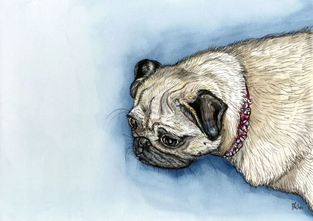 The "Others" - Yes I do paint other breeds of dawgs.
