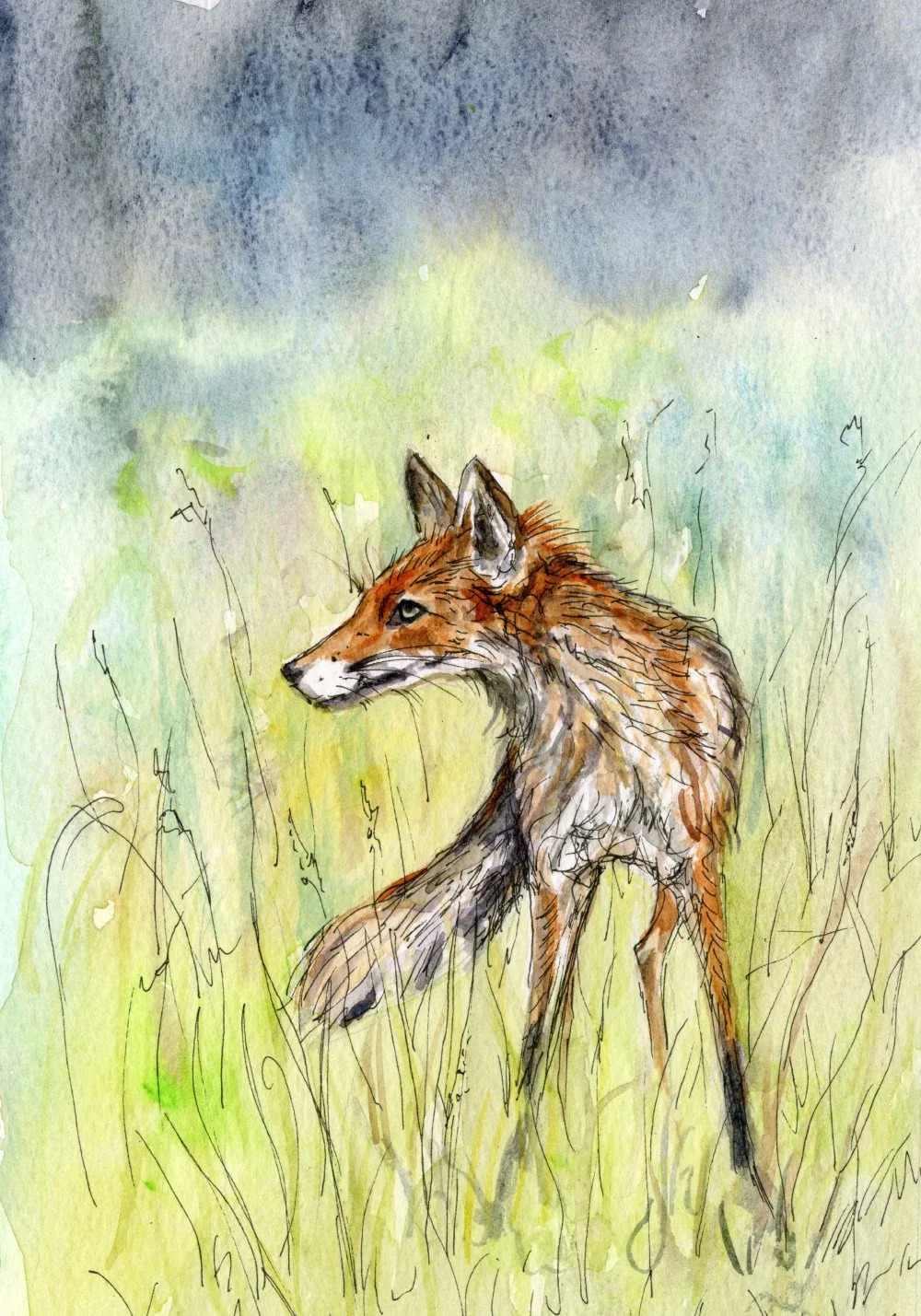 redfoxprint1510web.jpg