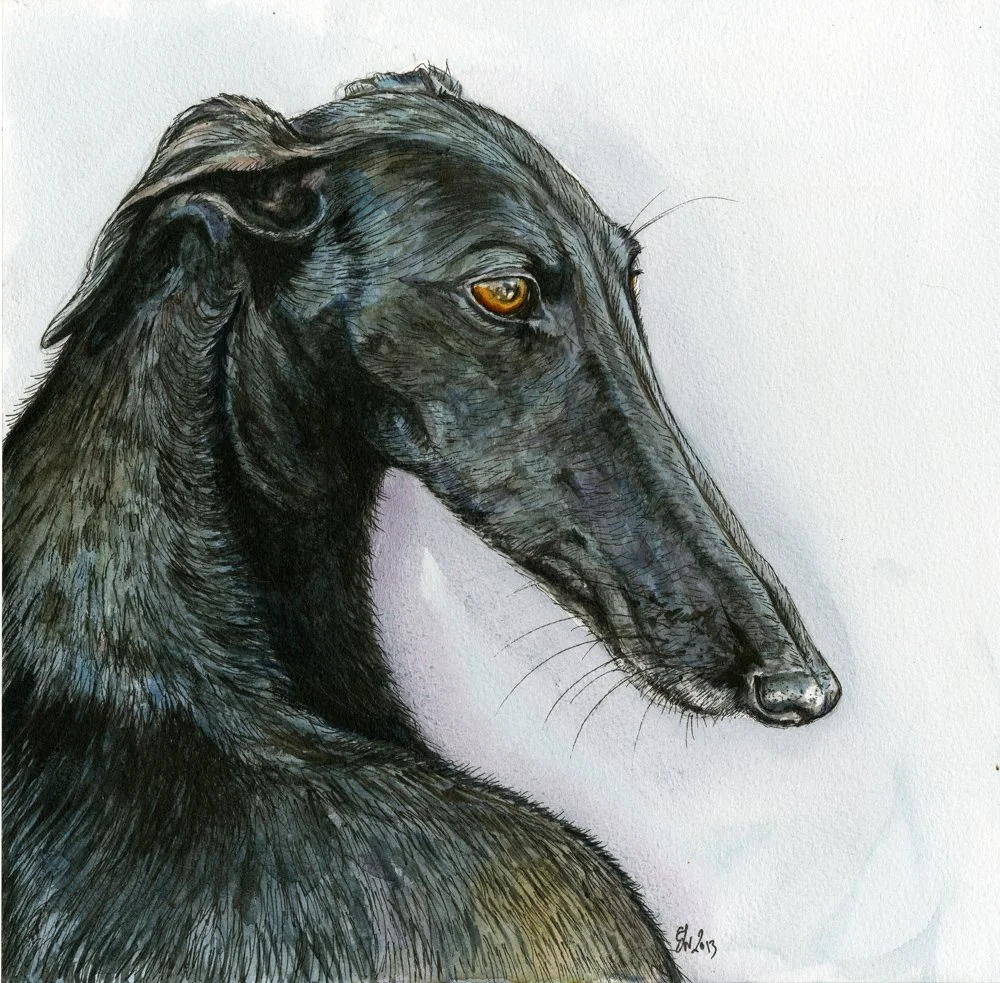 mollypaintingweb.jpg