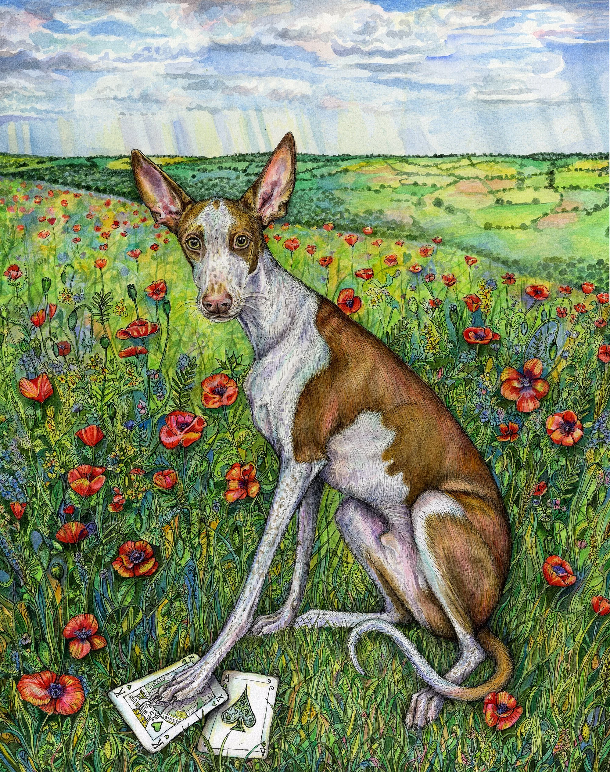 HilaryAcePaintingweb.jpg