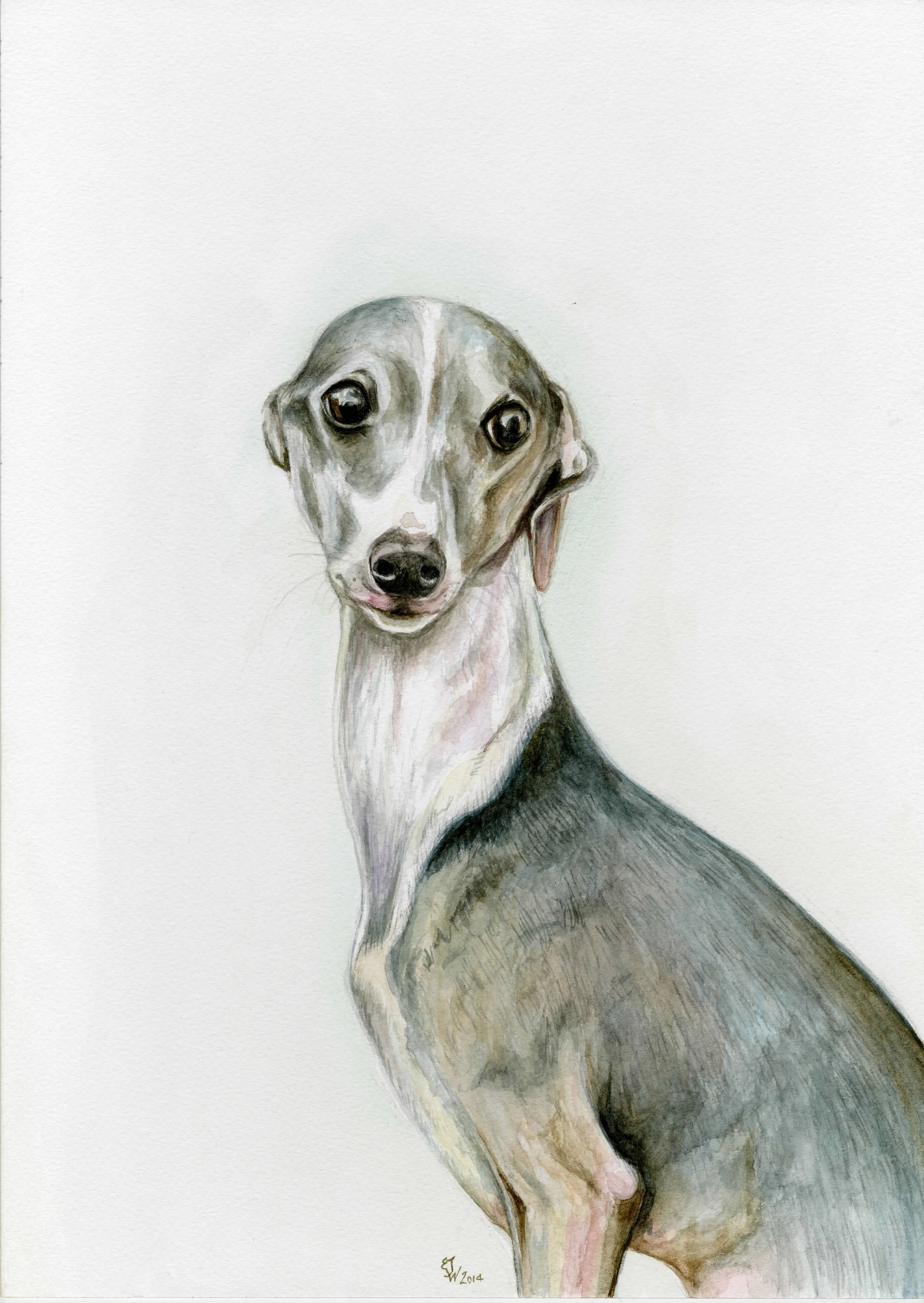 luigipaintingweb.jpg
