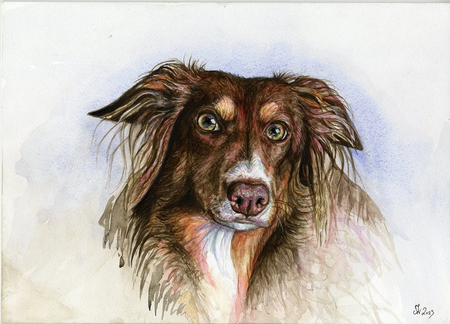 Troy-Cassiepaintingweb.jpg