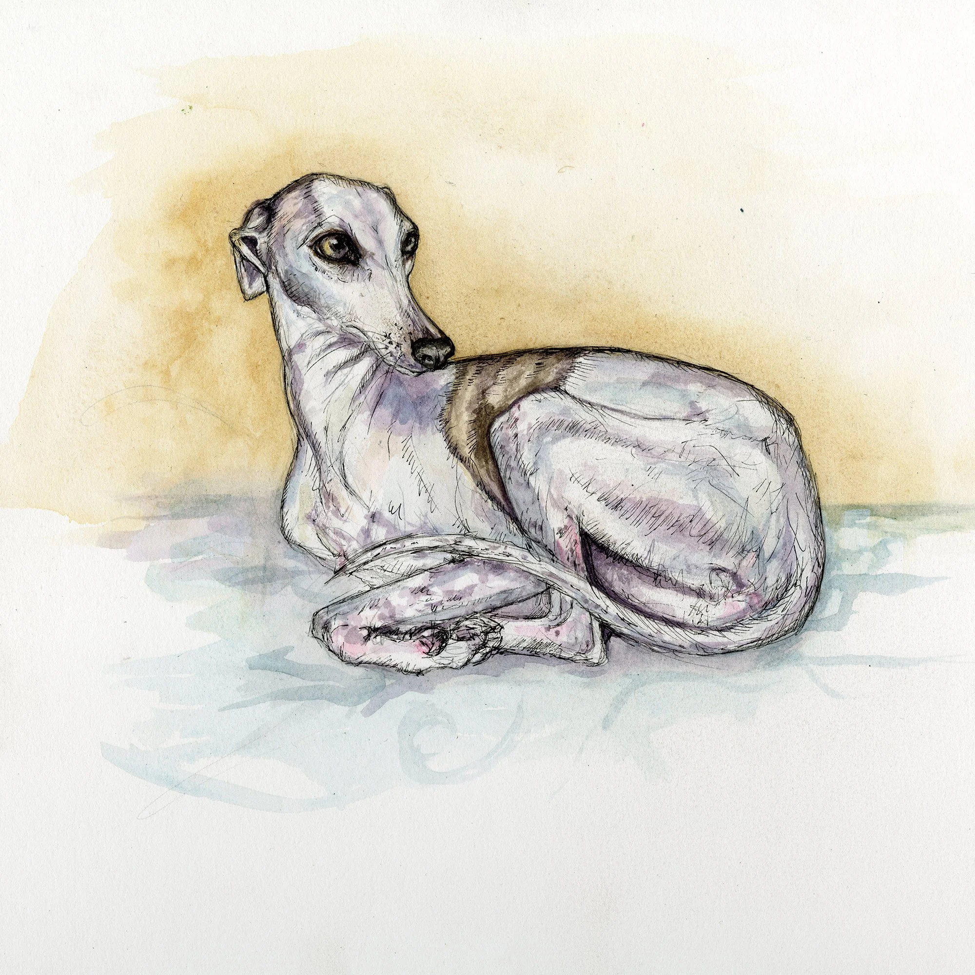 indiewatercolur&pen copy.jpg