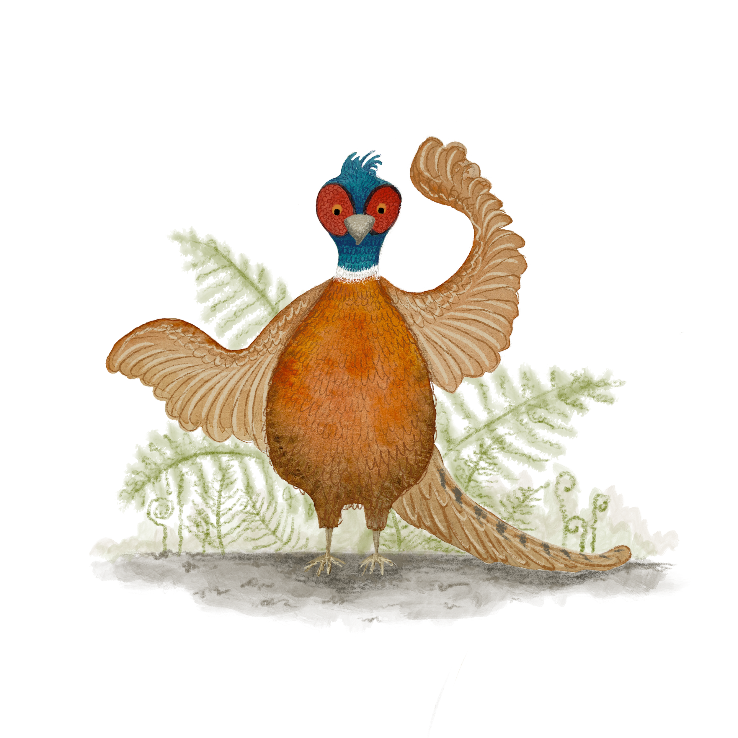 'Phil the Pheasant", created by the amazingly talented Rachael Sligo ('Phil' is one of my favourite characters from our first book, and he's been a popular character with children).