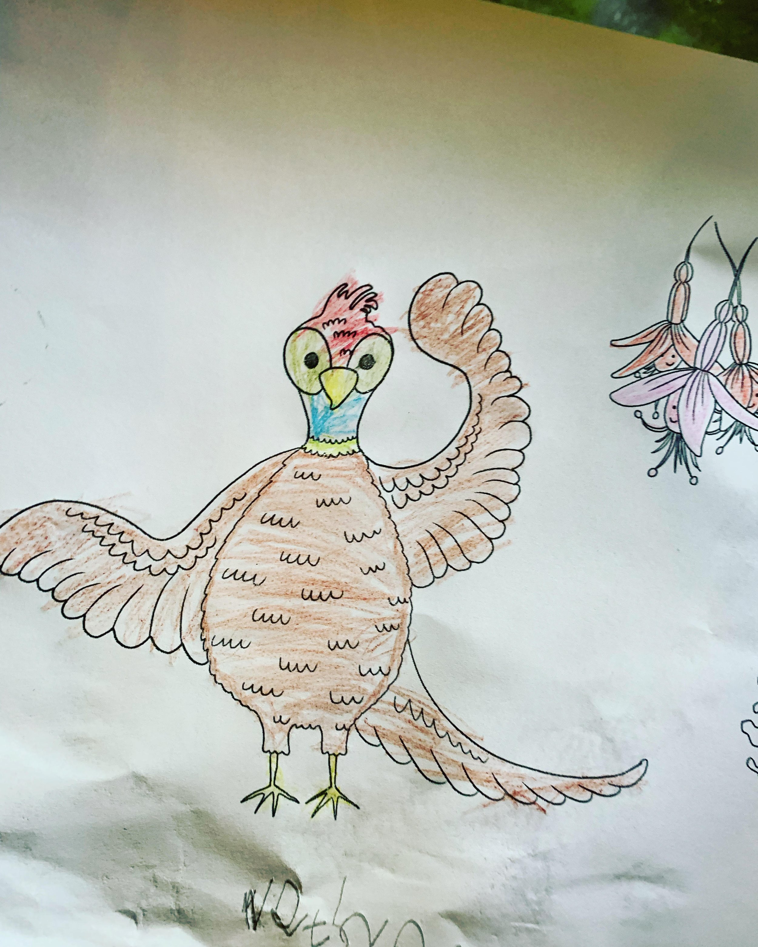 'Phil the Pheasant' from my book 'How Does Your Garden Grow?', coloured in by Nathan, who I believe was only 4 years old! Love it!