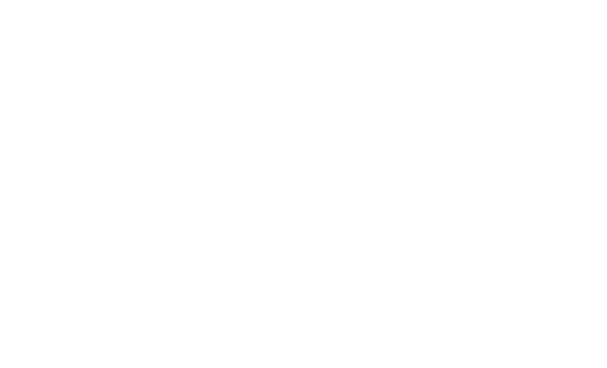 VARO.png
