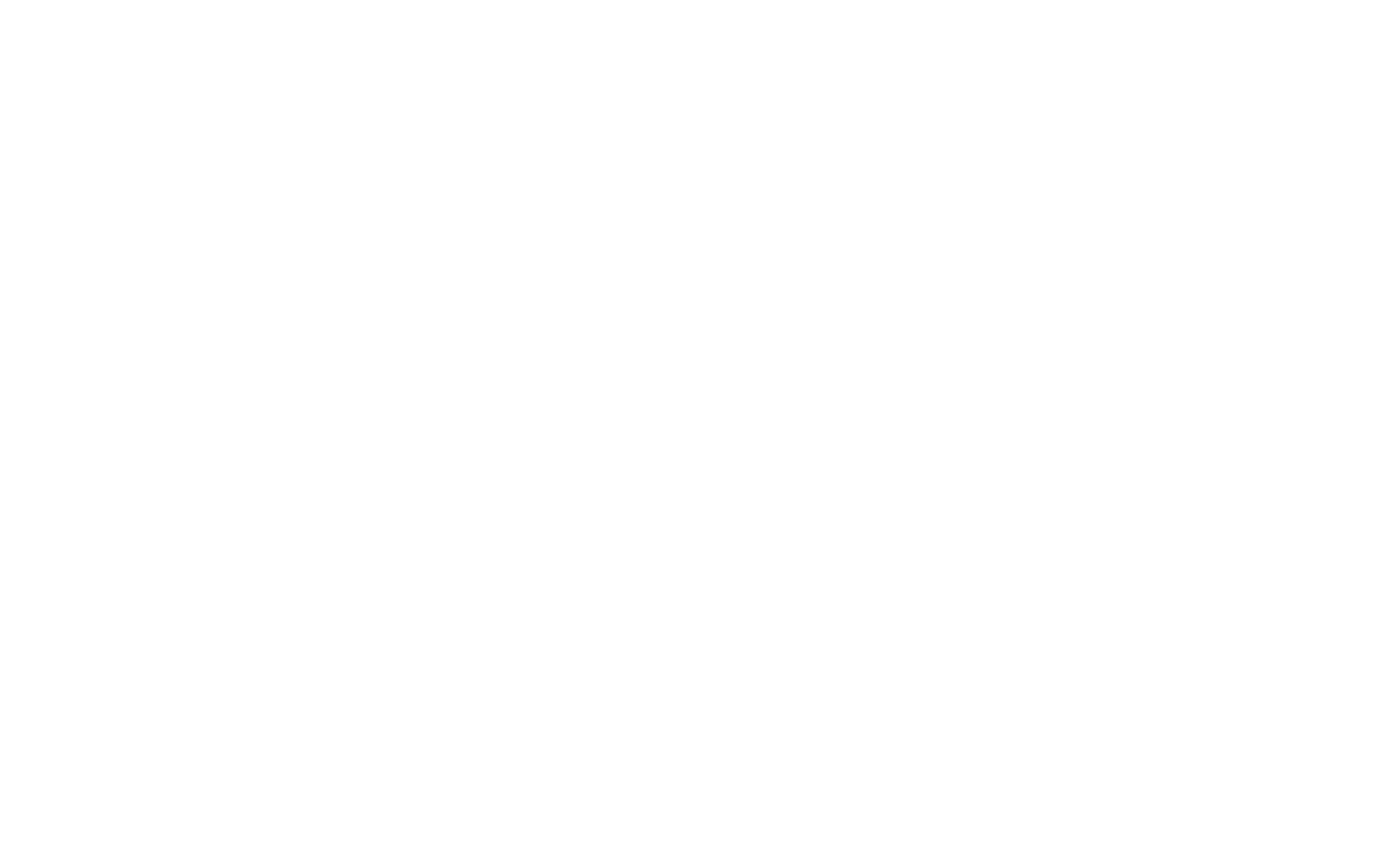 UN FOUNDATION.png