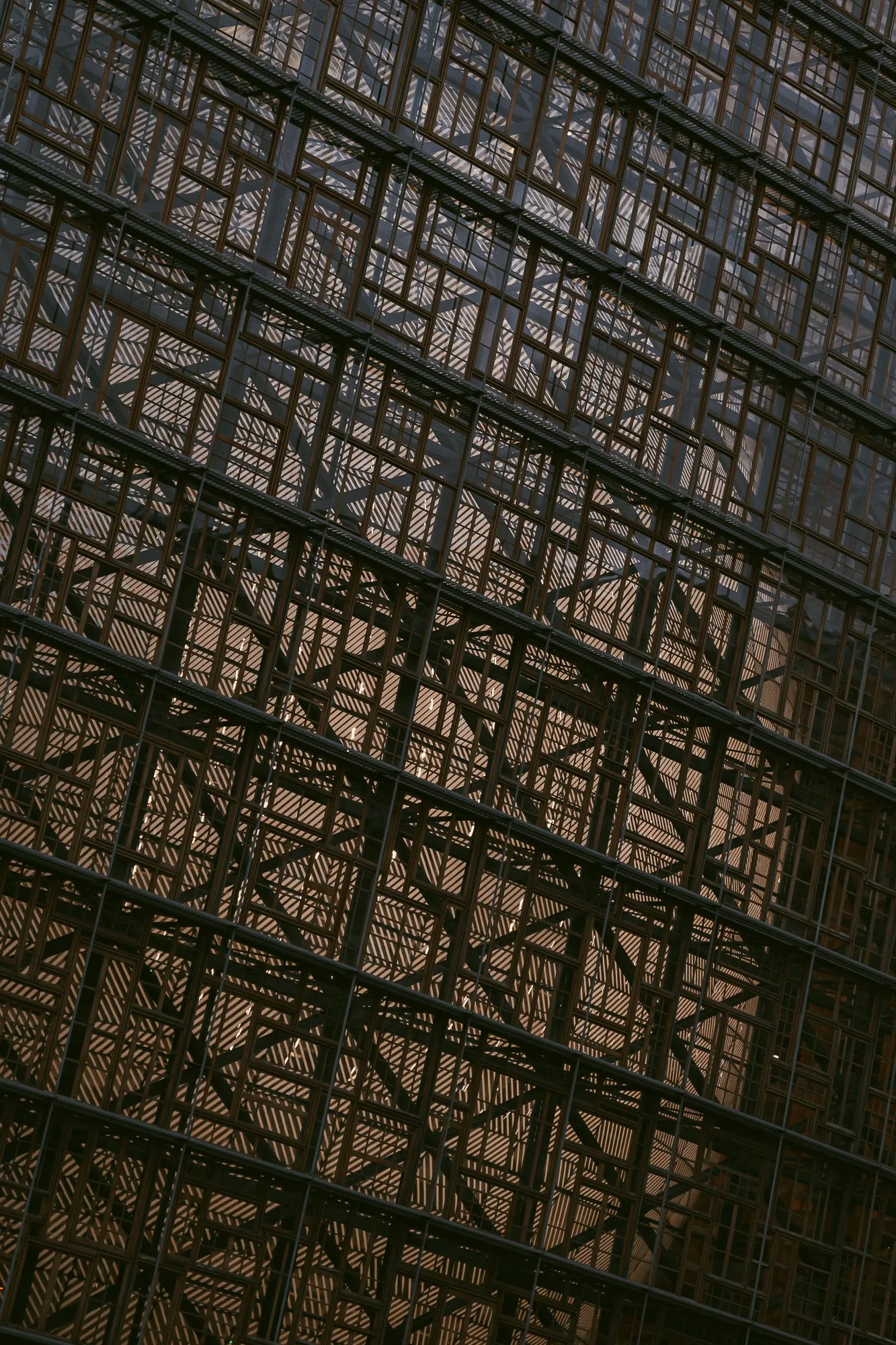 DJVN_archi-1.jpg